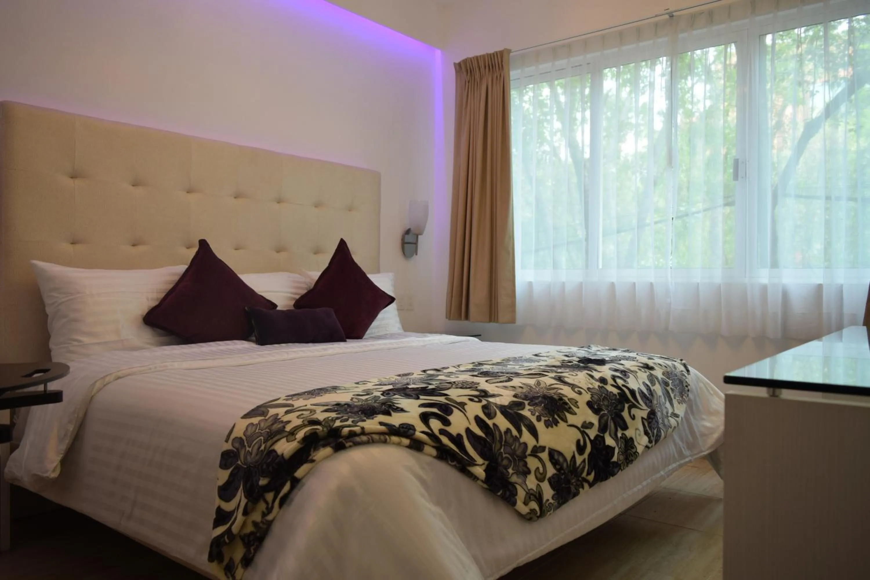 Bed in Hotel Condesa 185