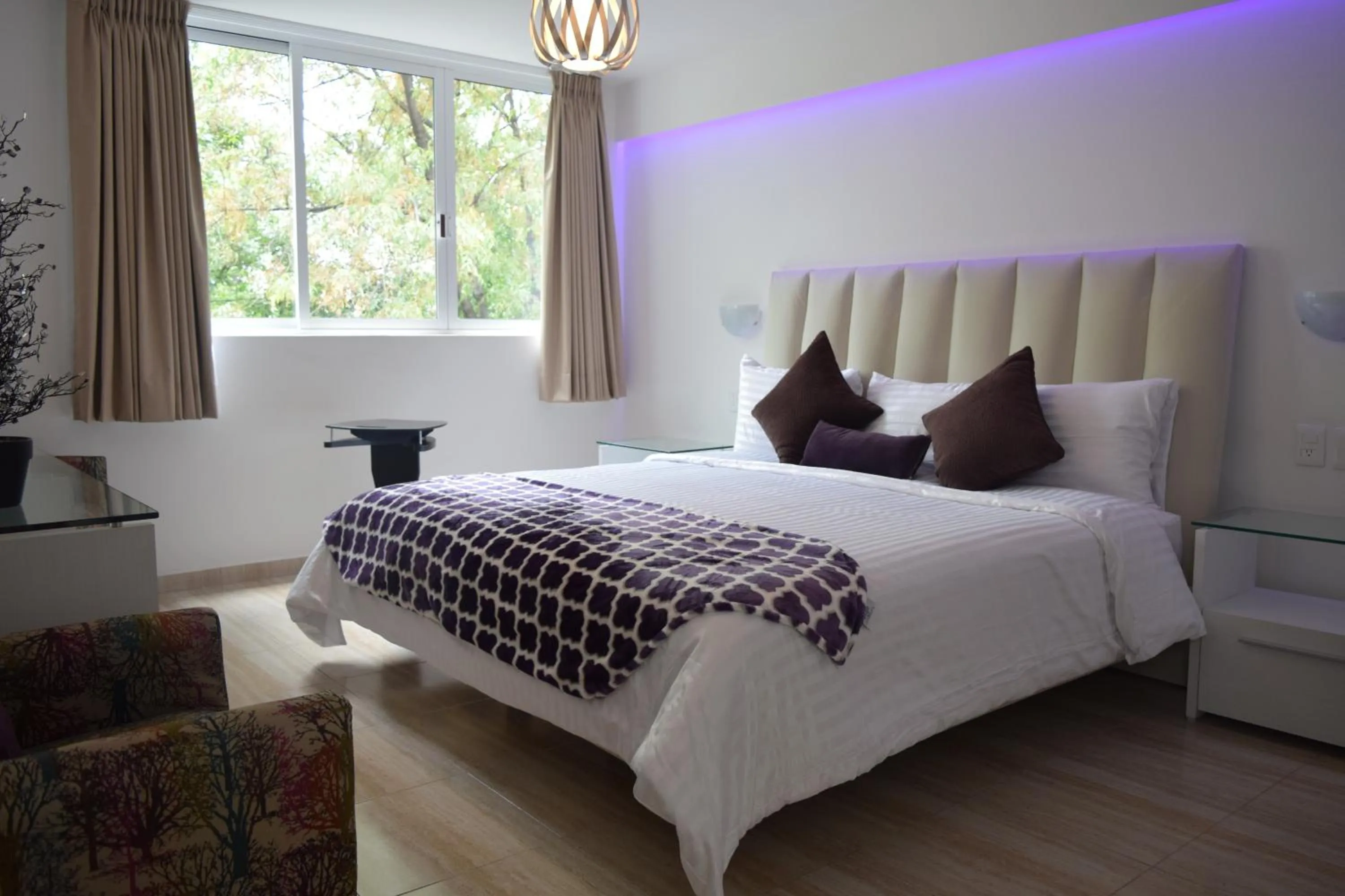 Bed in Hotel Condesa 185