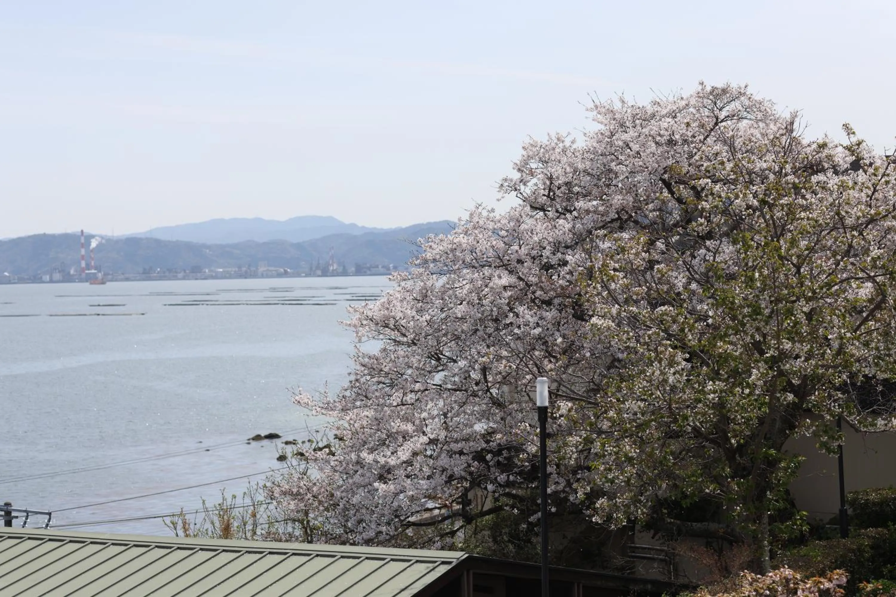 Photo of the whole room in Miyahama Grand Hotel