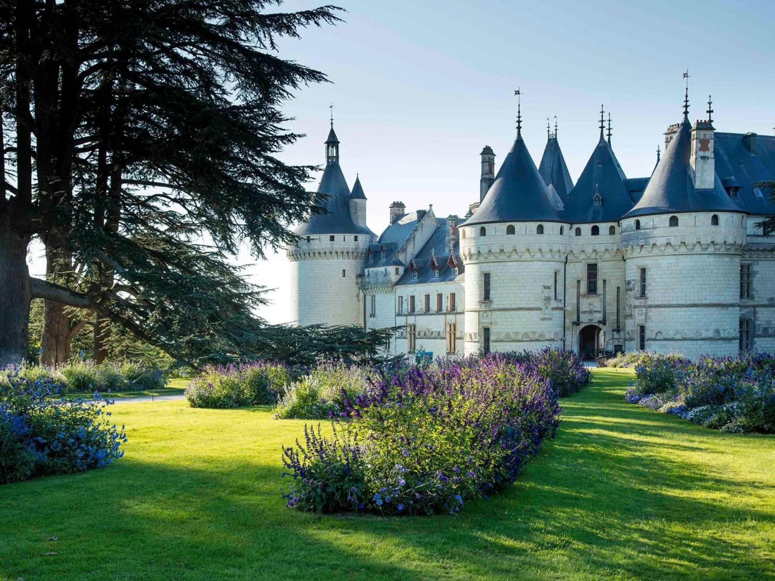 Animals in Les Abris Du Château