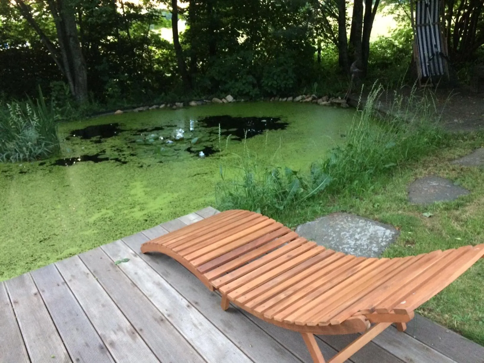 Garden view in Room Art Lovers