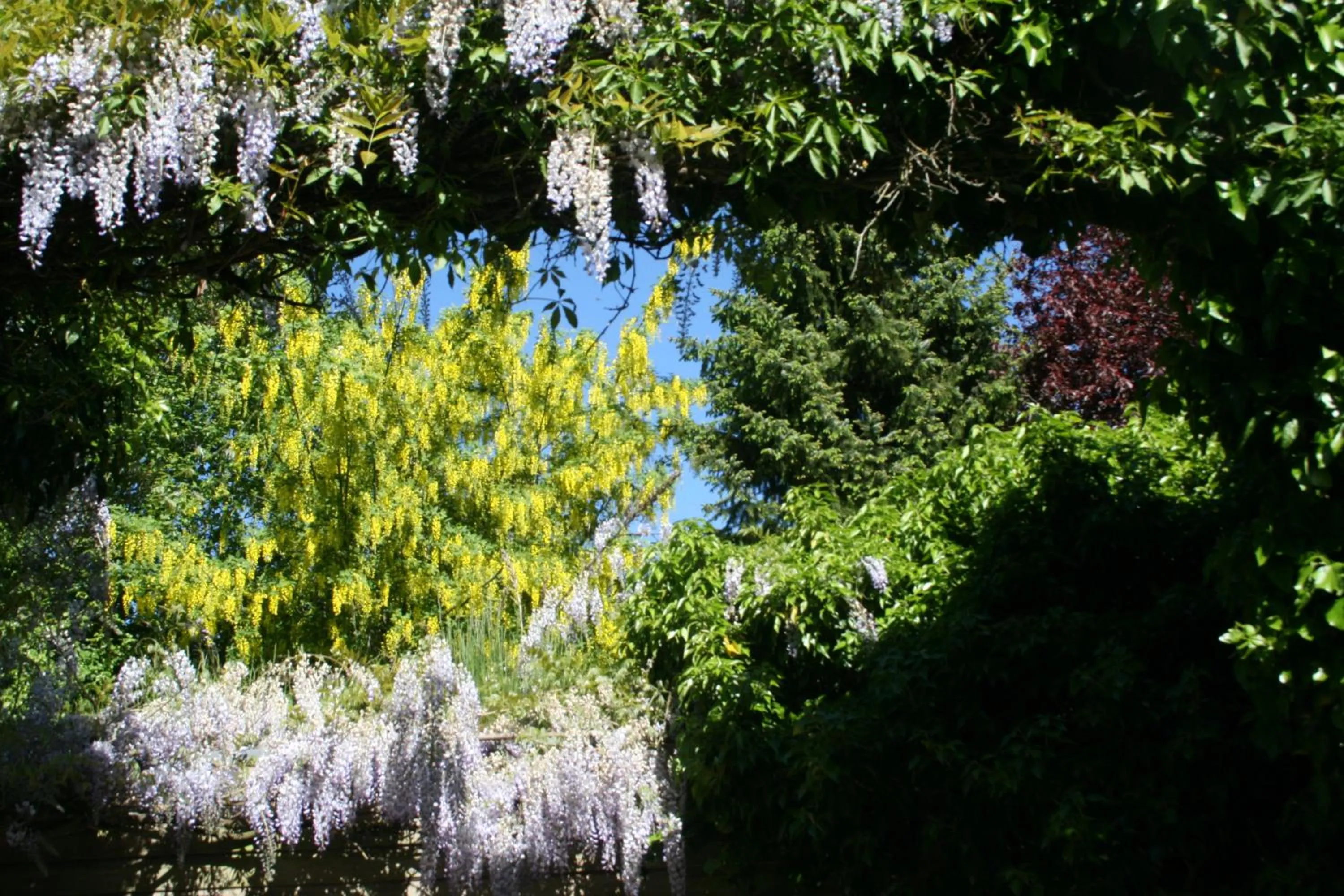 Patio in Room Art Lovers