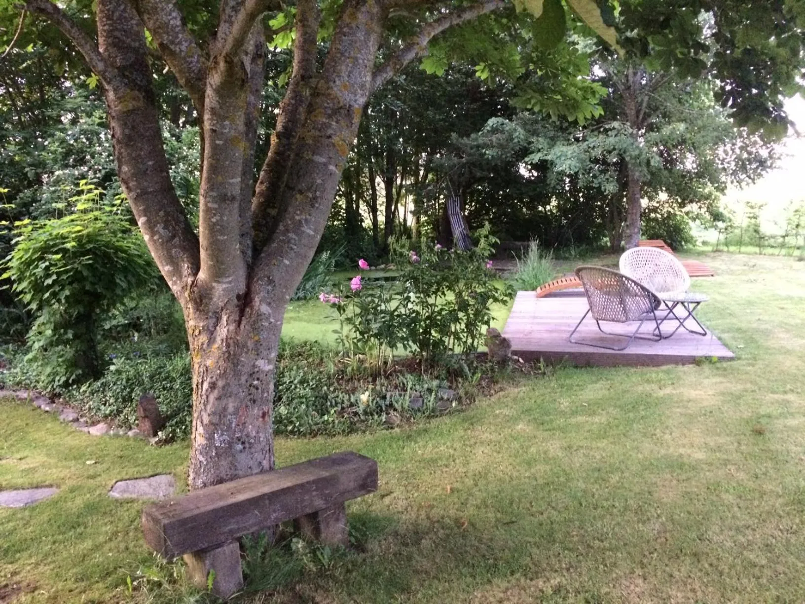 Garden in Room Art Lovers