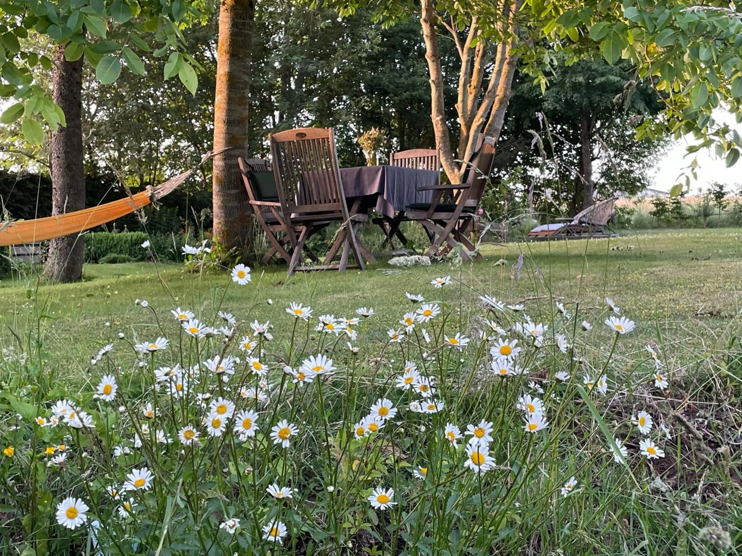 Garden in Room Art Lovers