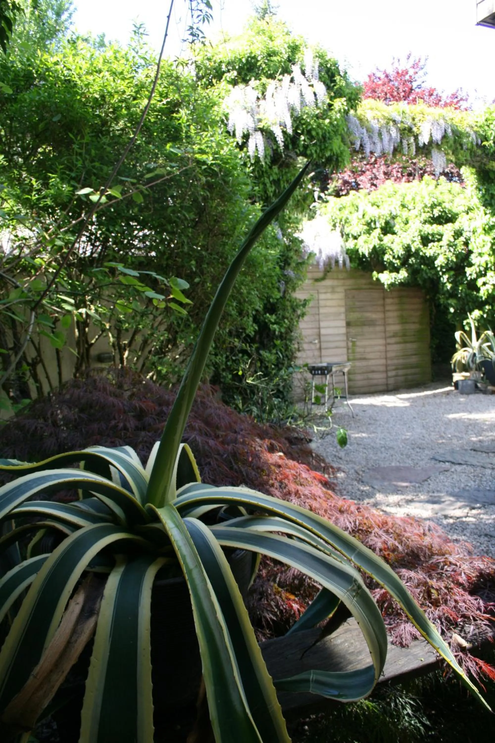 Patio in Room Art Lovers