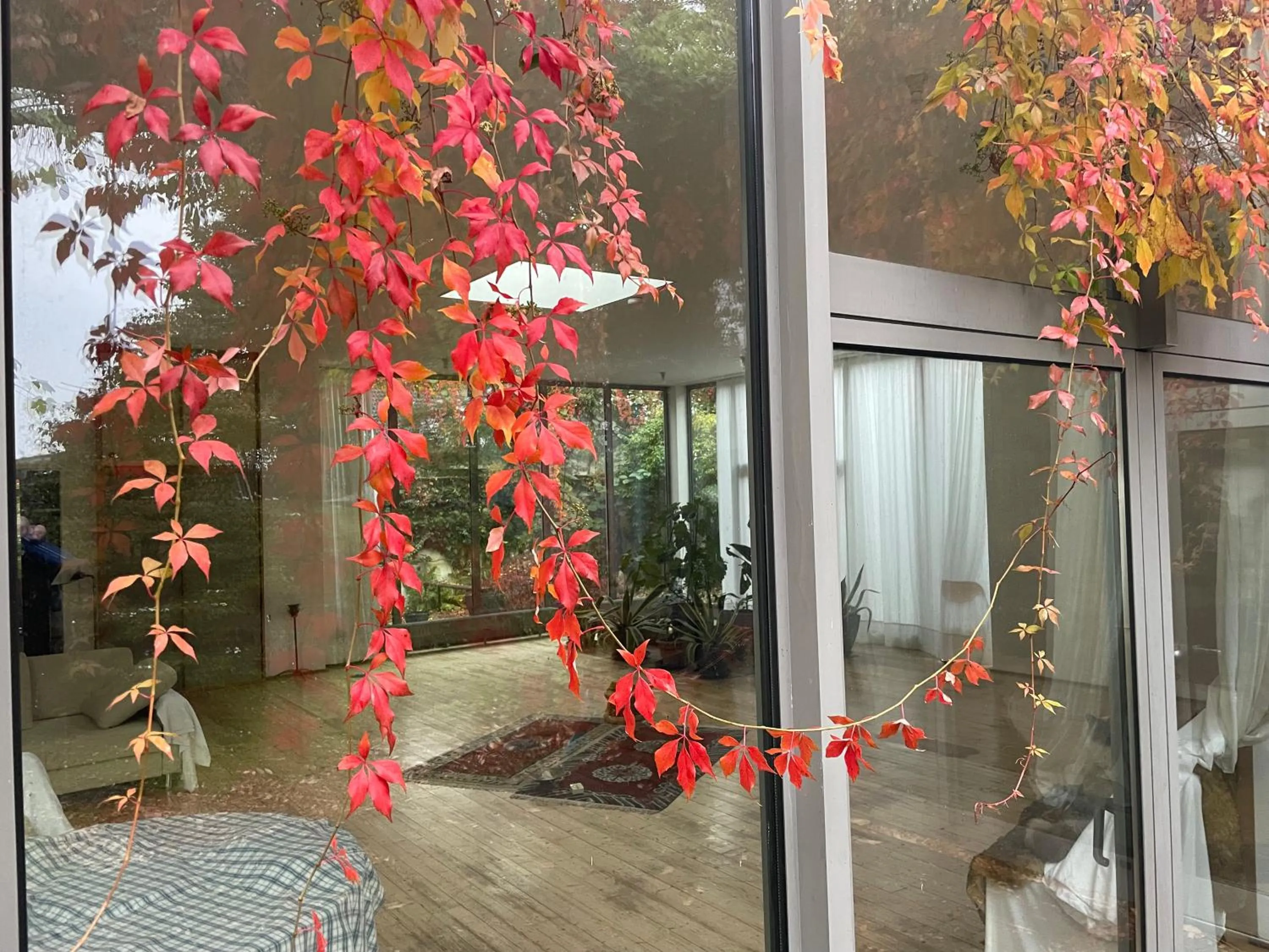 Restaurant/places to eat in Room Art Lovers