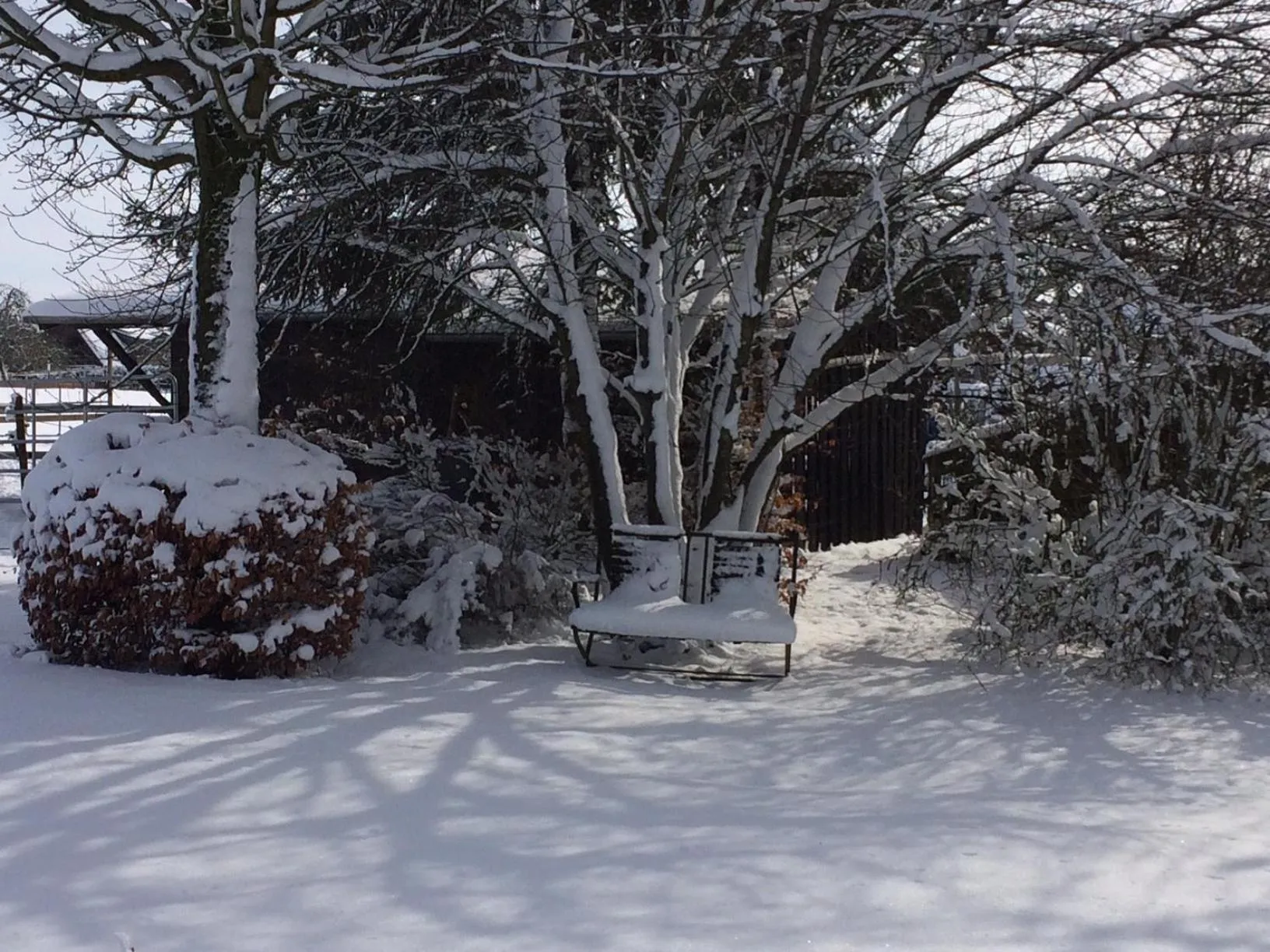 Winter in Room Art Lovers