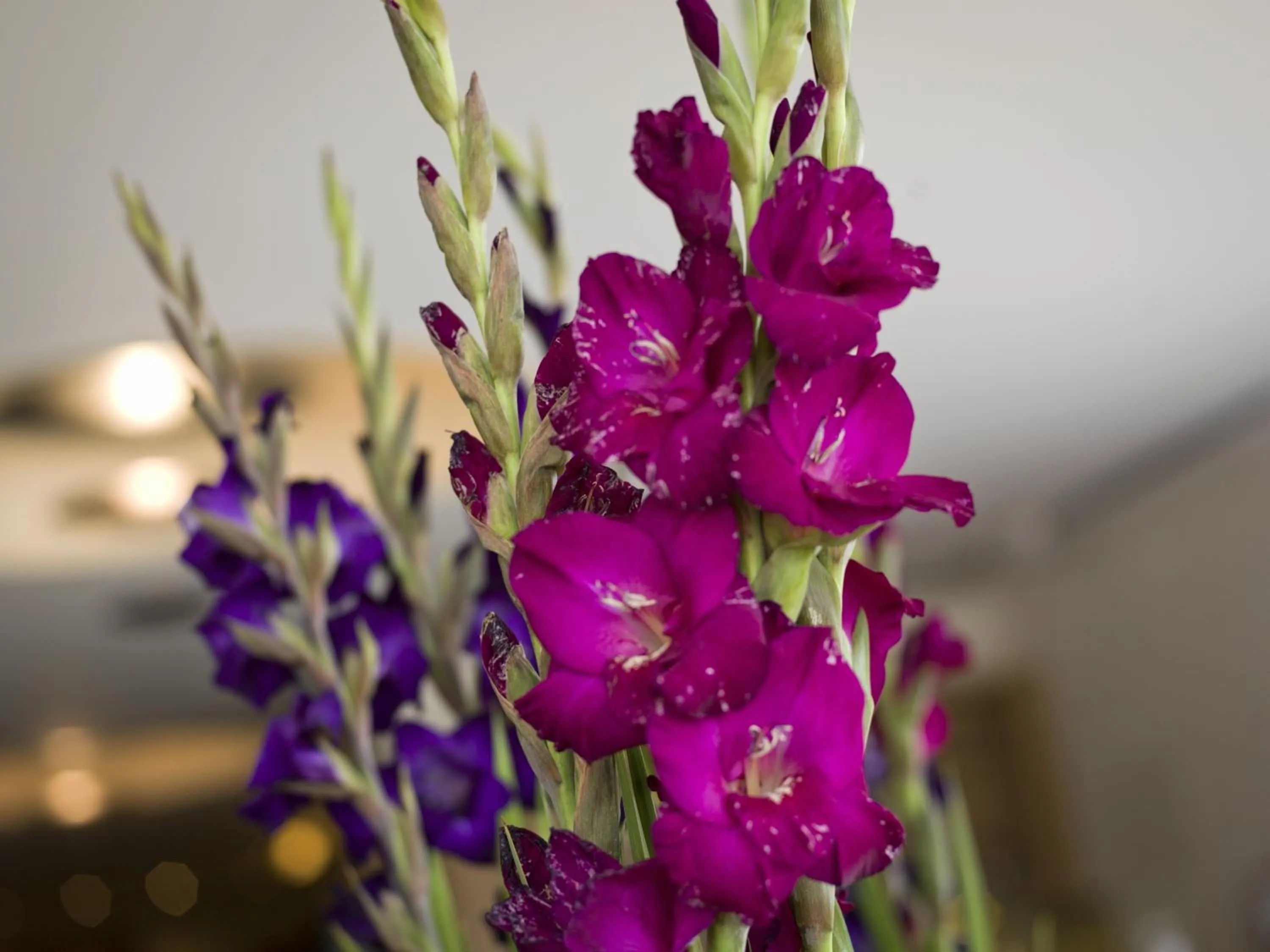 Other in Der Birkenhof Spa & Genuss Resort