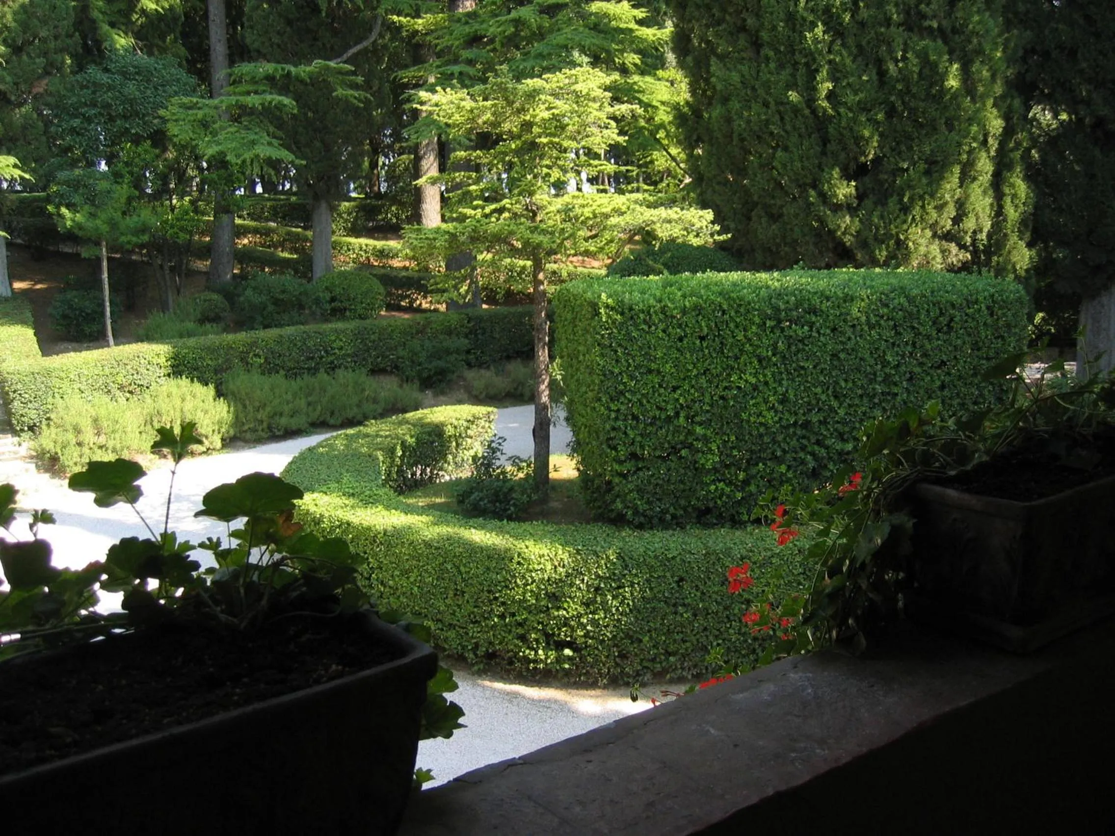 Garden in Villa Pambuffetti