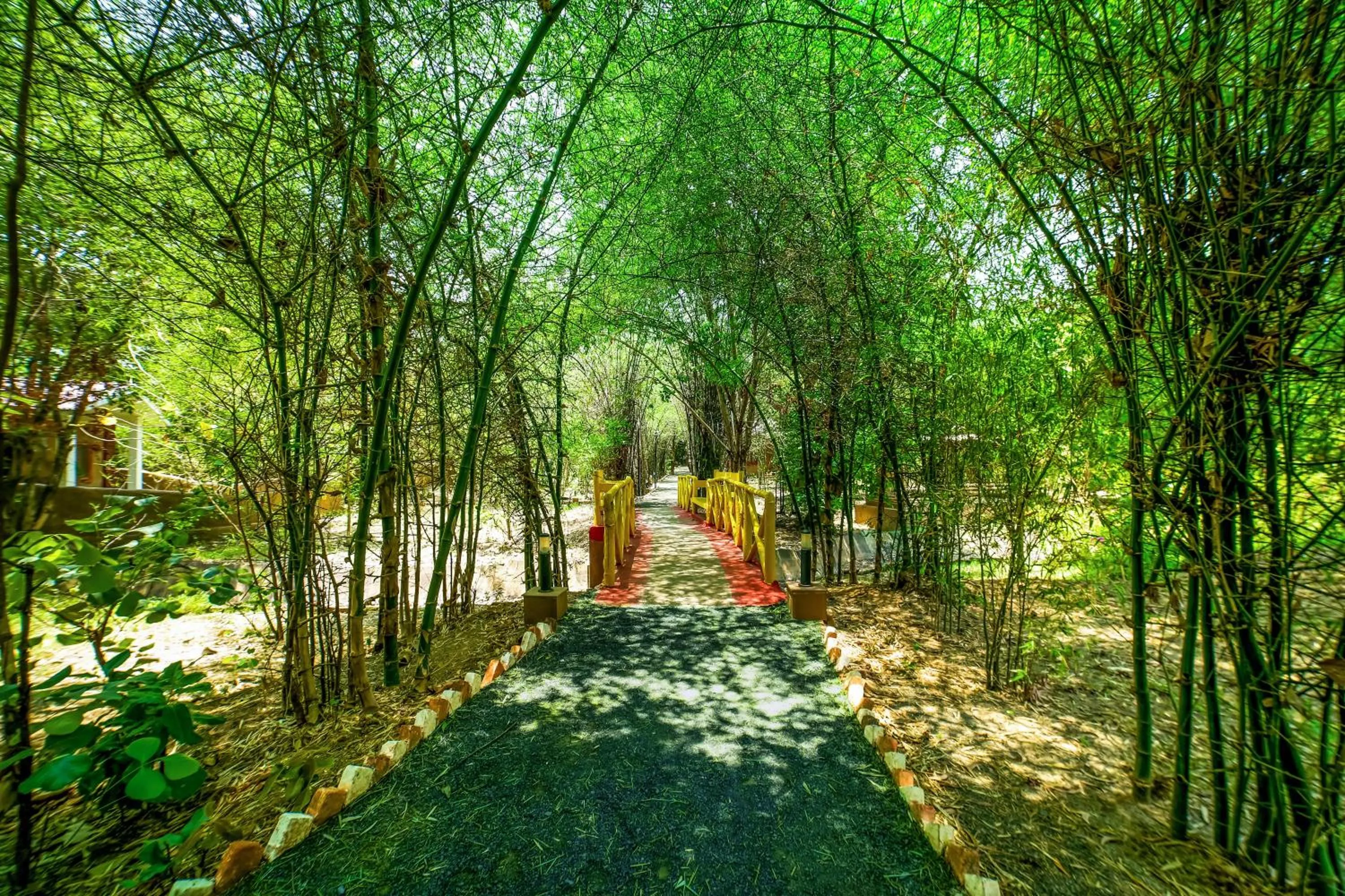 Lemon Tree Wildlife Resort, Bandhavgarh