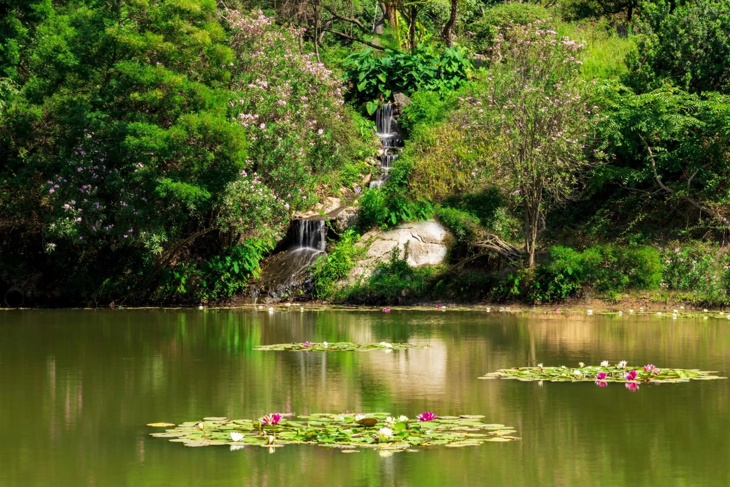 Hotel Monte Turri - Adults Only