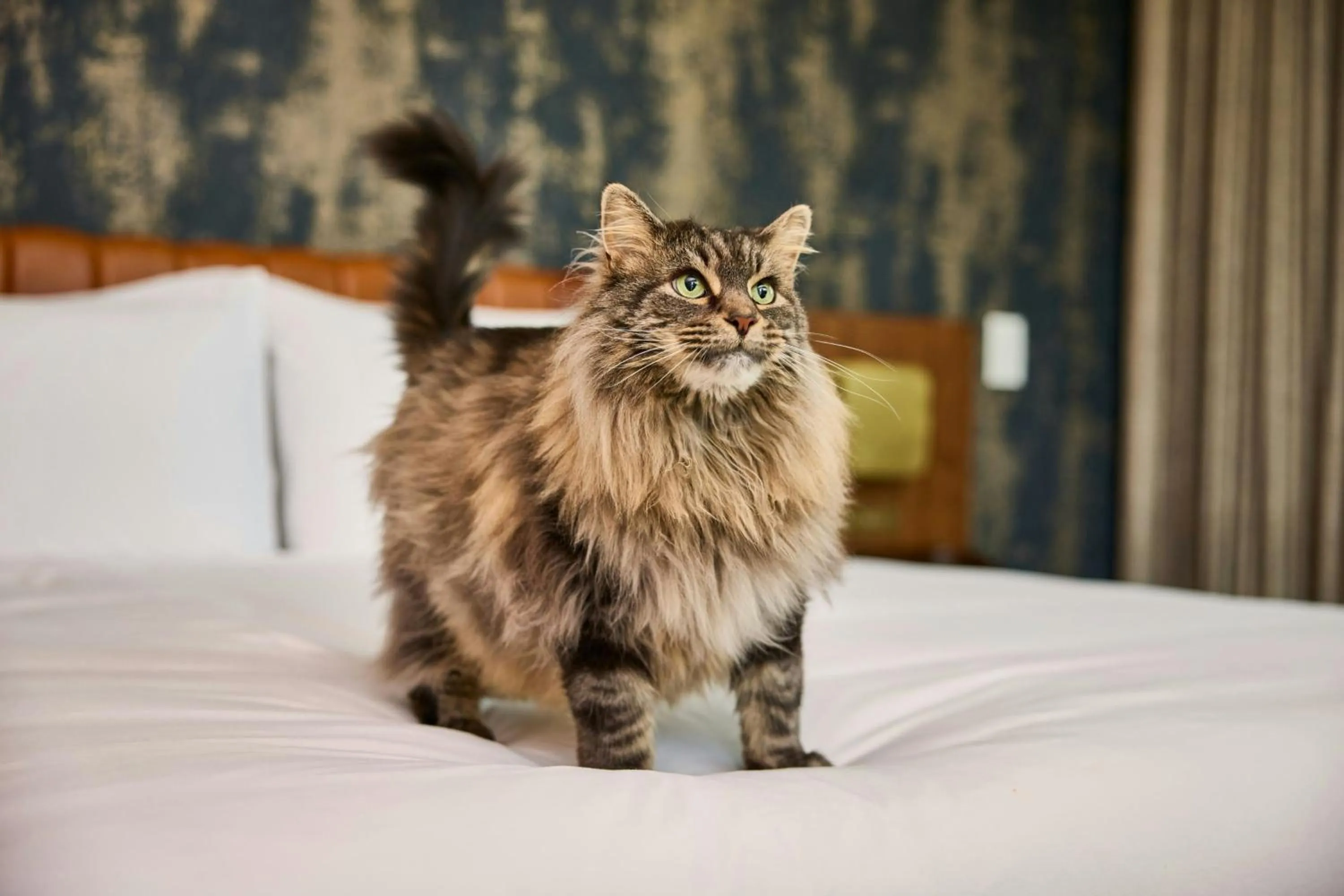 Other in The REMI, Scottsdale, Autograph Collection