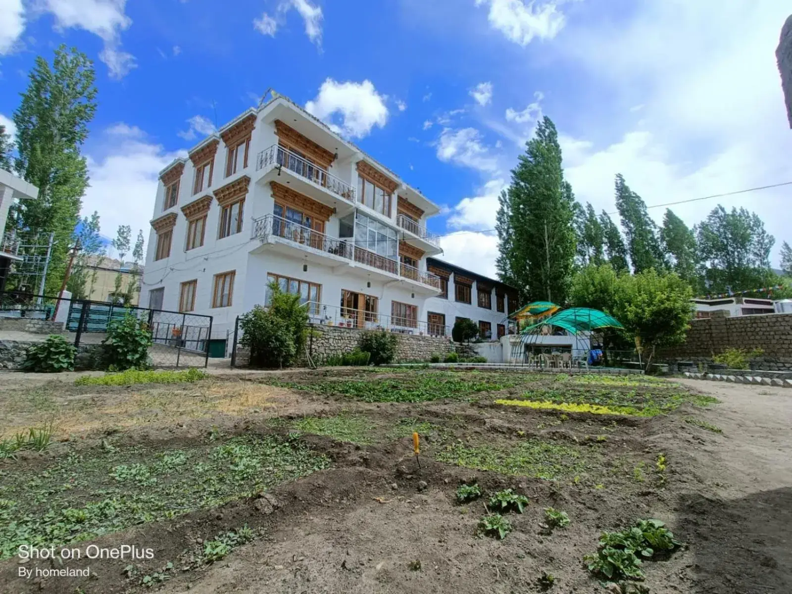 yangphel house yangphel house