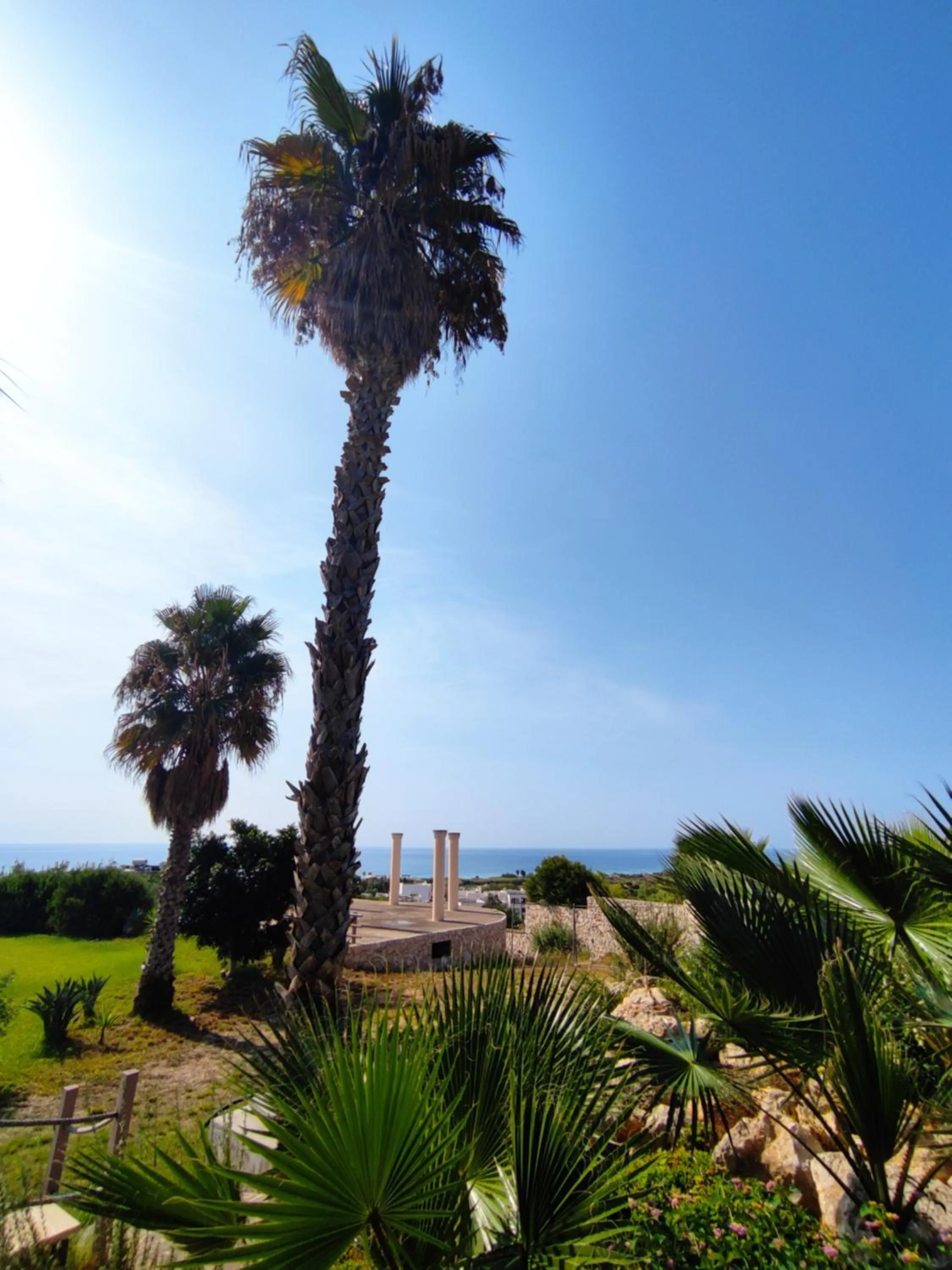 Garden in Picchio Hotel Pescoluse
