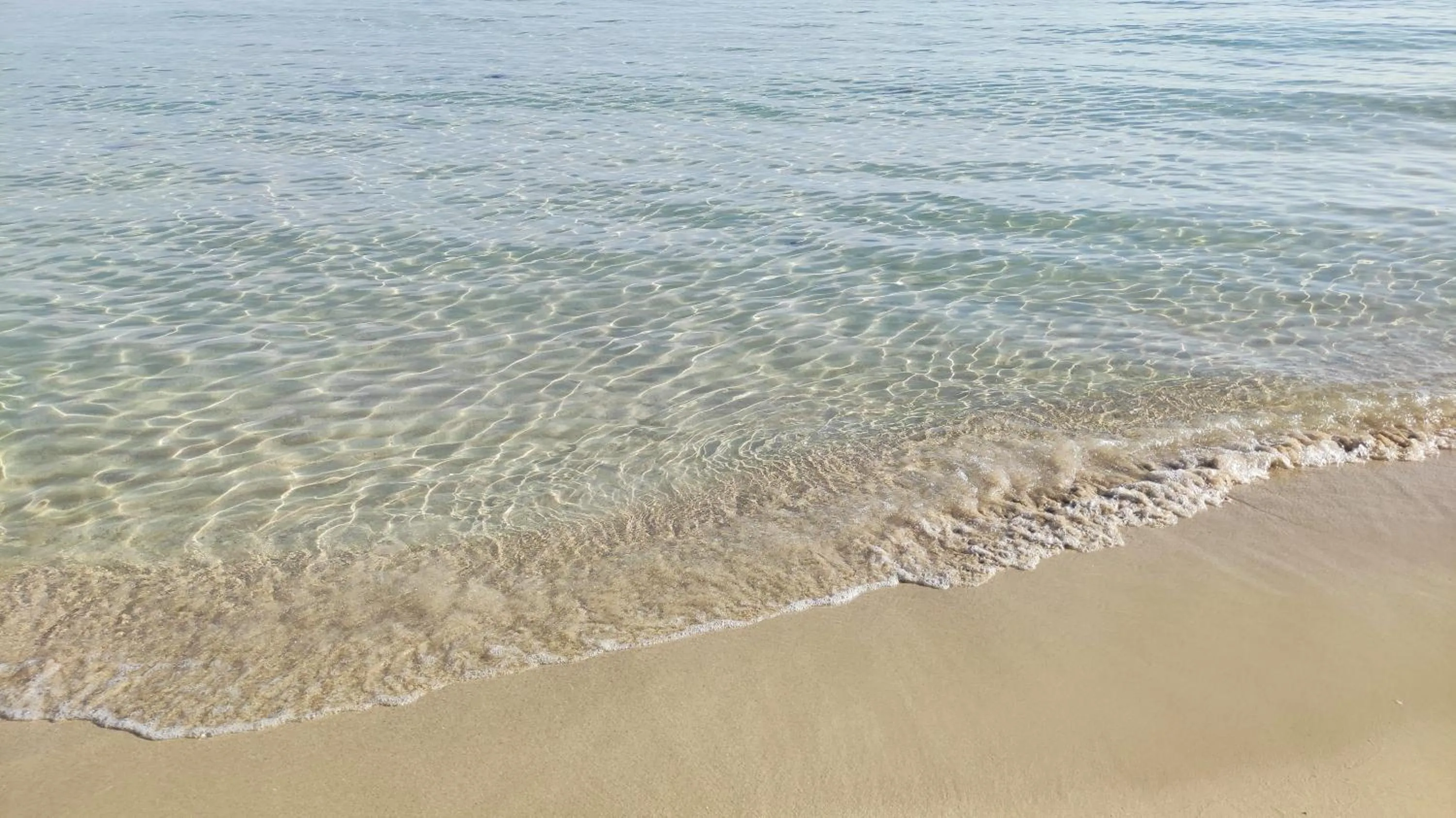 Beach in Picchio Hotel Pescoluse