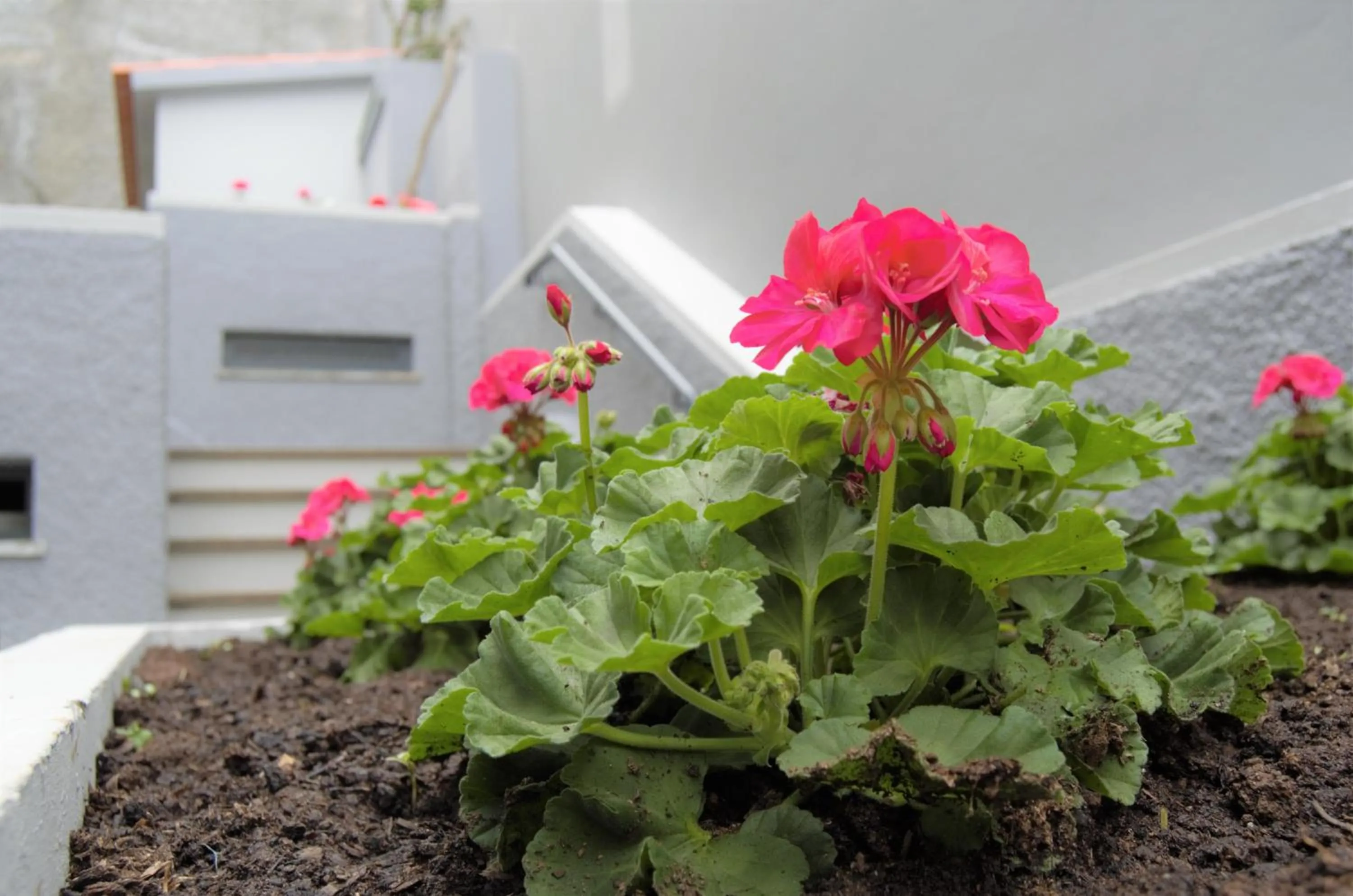 Facade/entrance in Apartamentos Turísticos Vitoria by Petit Hotels