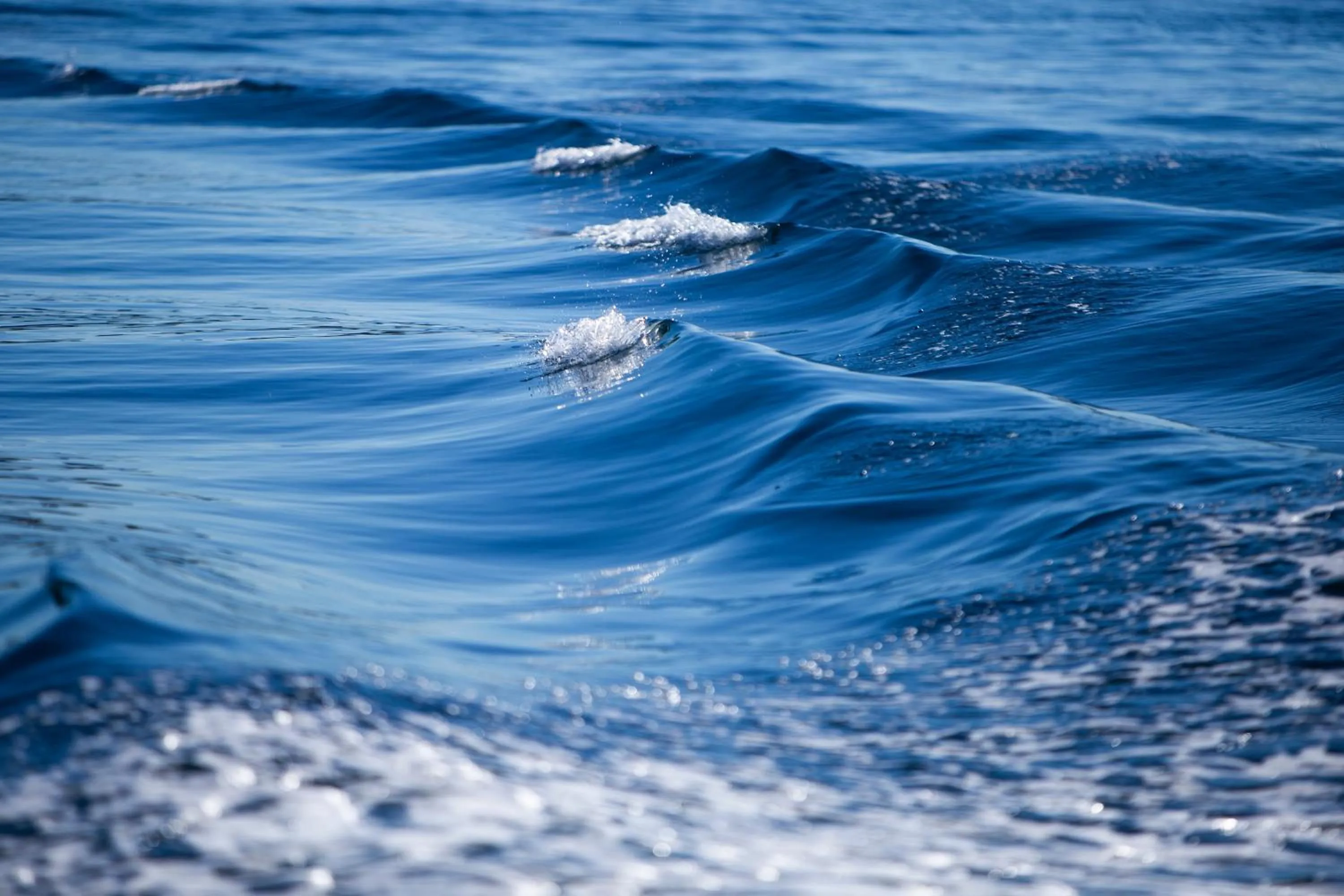 Neighbourhood in Hotel Murter