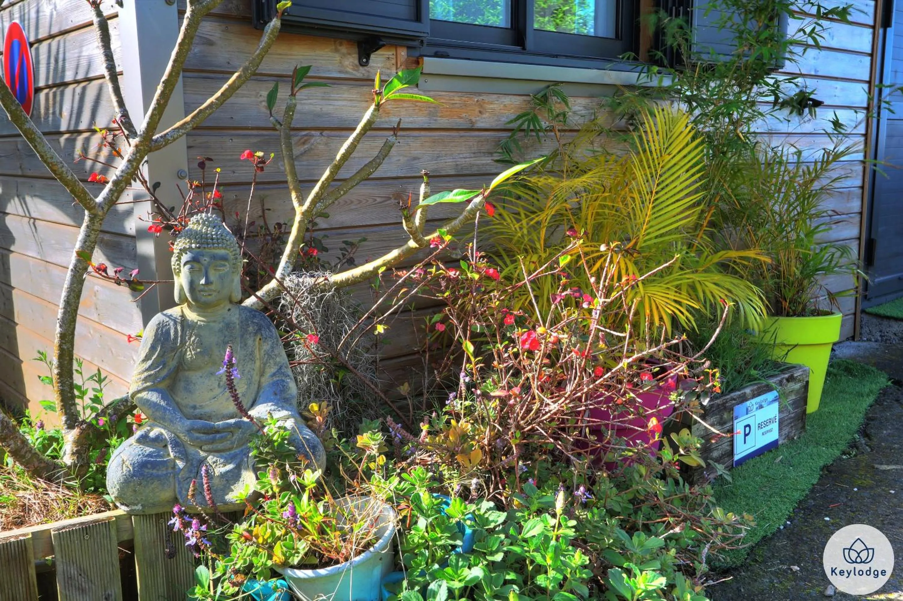 Day in Les Gites Le Bambou - 3 étoiles - Les Avirons