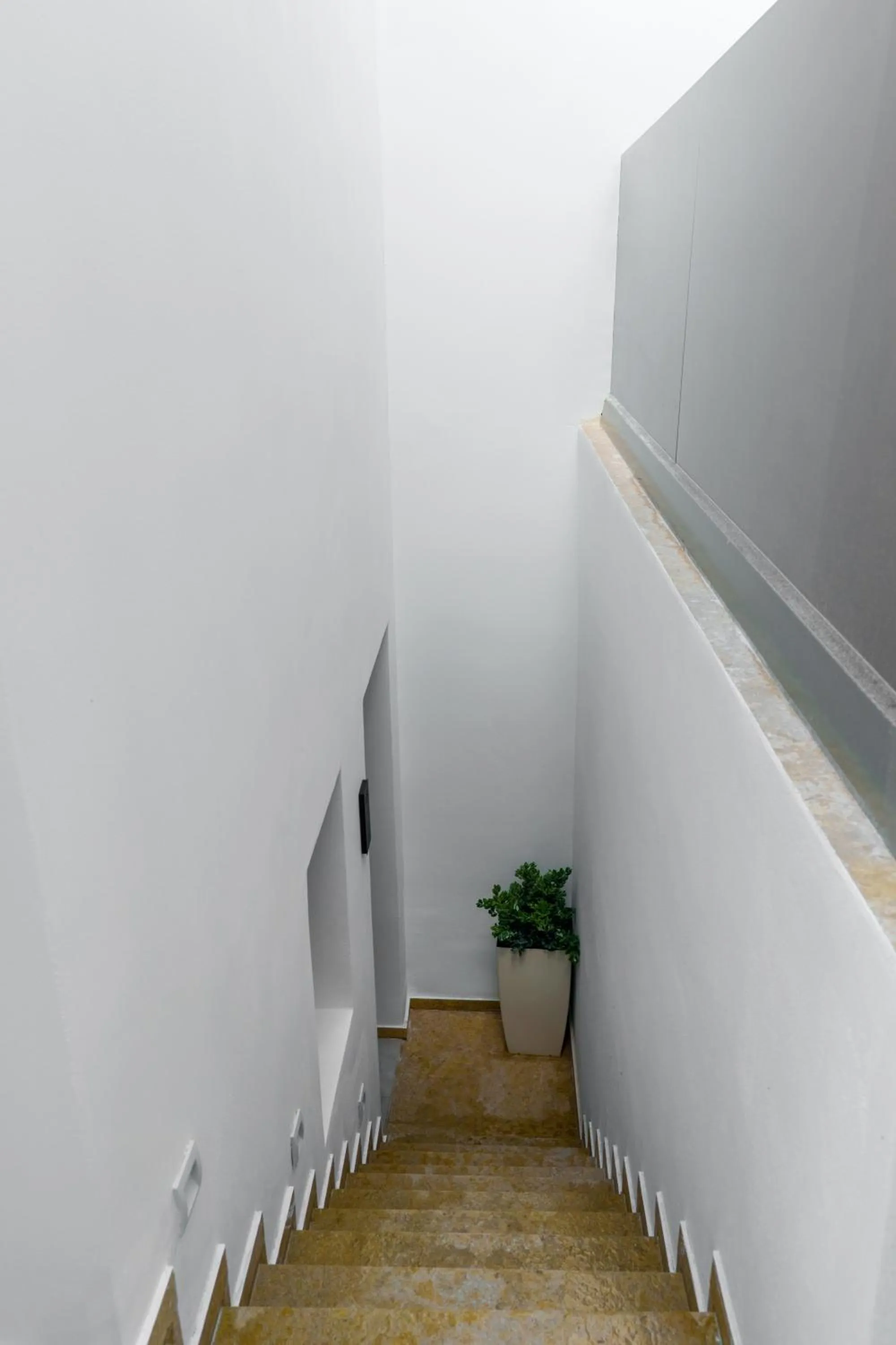 Property building in Dream of Paros