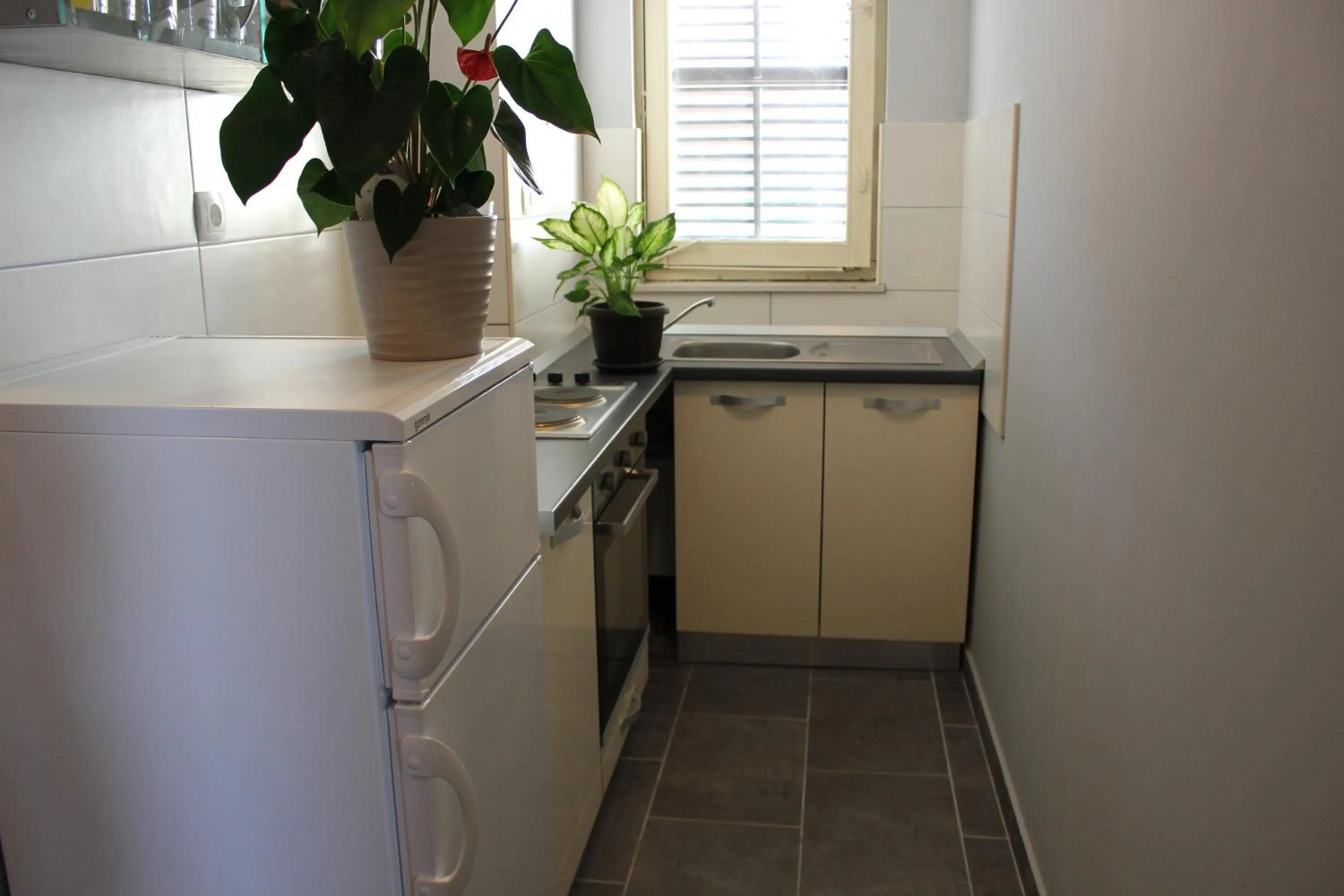 Kitchen or kitchenette in Apartments Kike&Ana