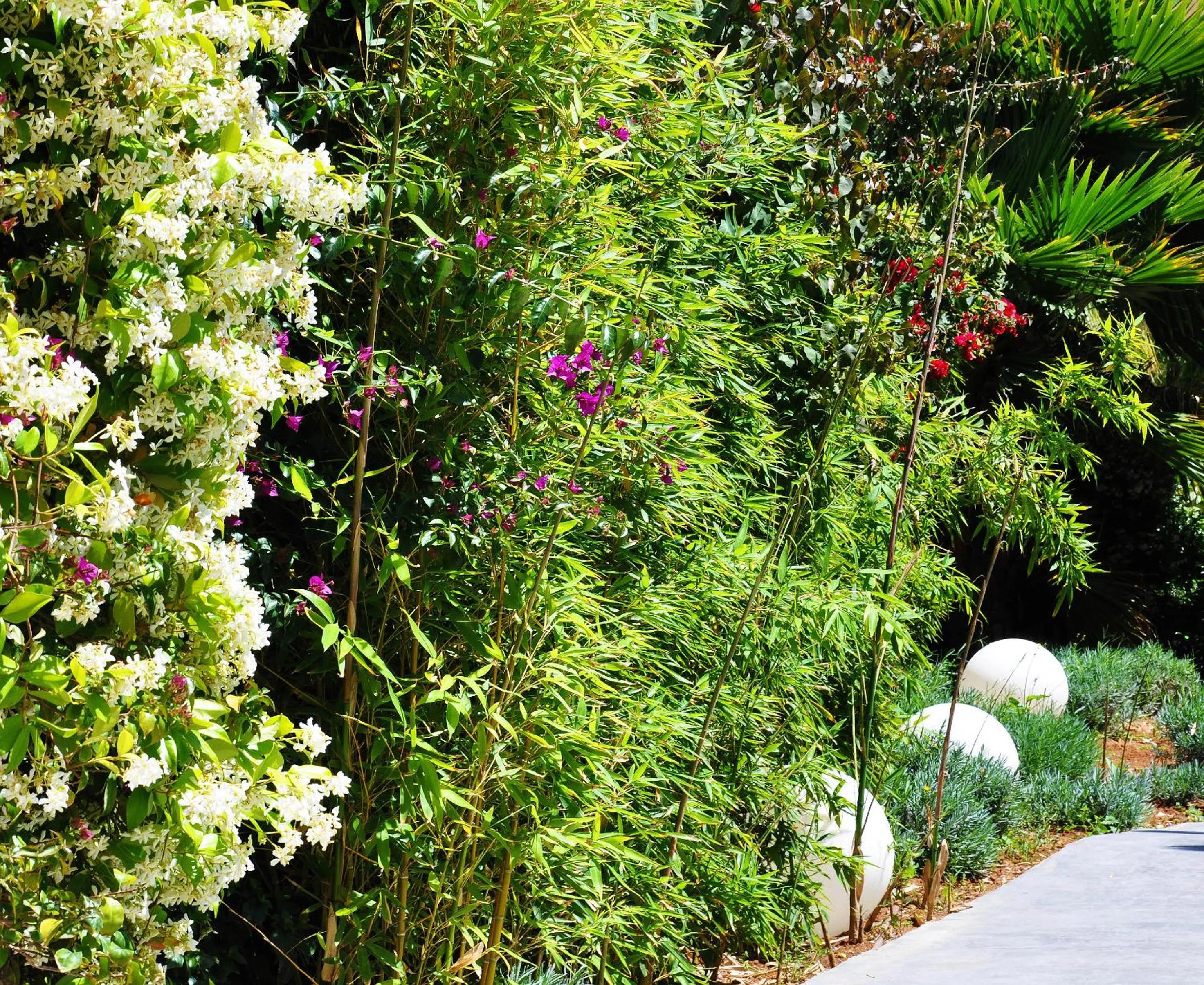 Garden in Apartaments B-Llobet Sun & Confort