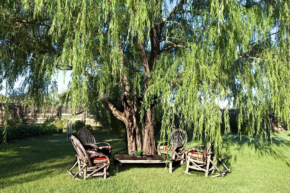 Casa Gallina - An Artisan Inn