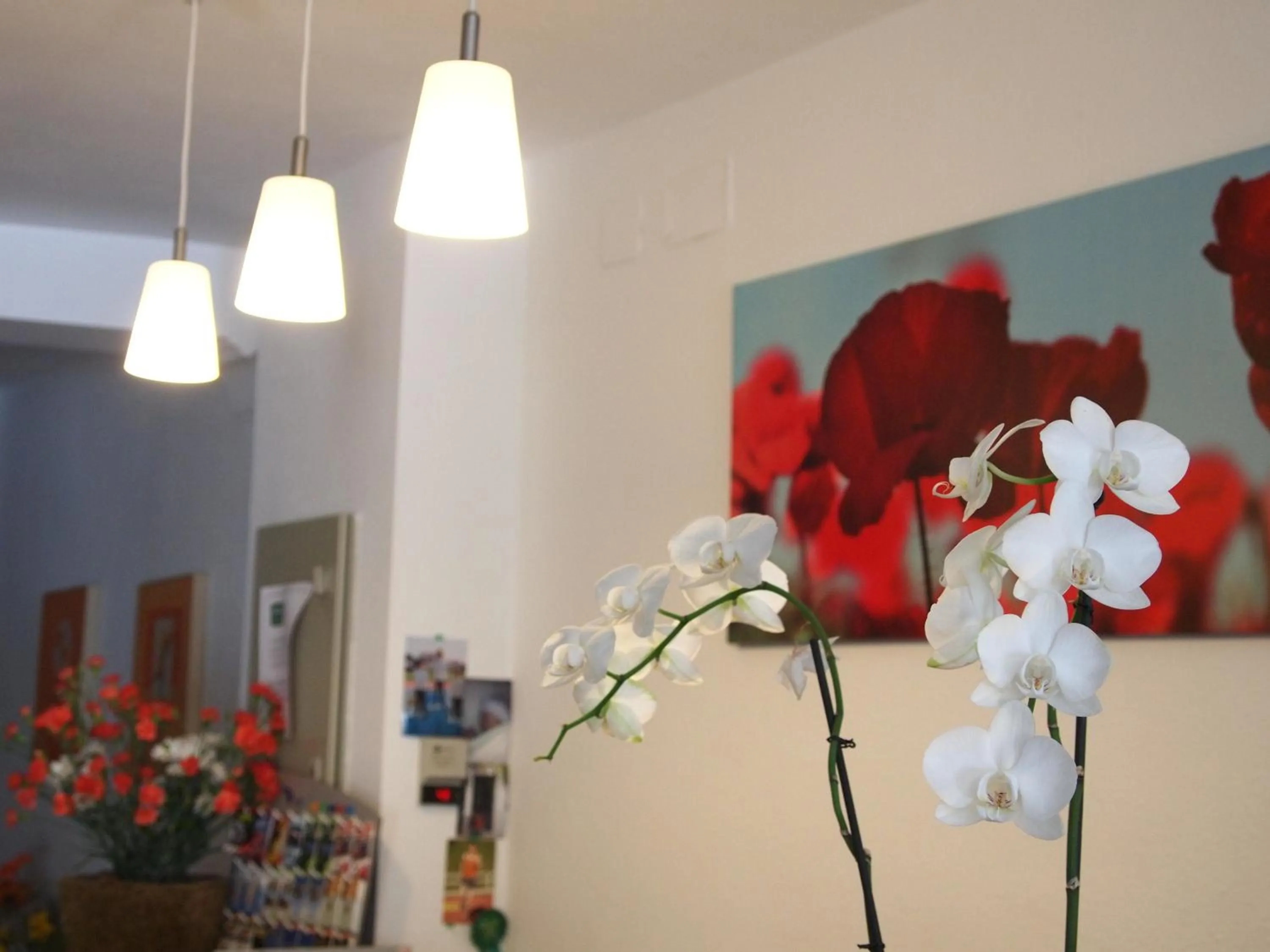 Lobby or reception in Hostal Tres Soles