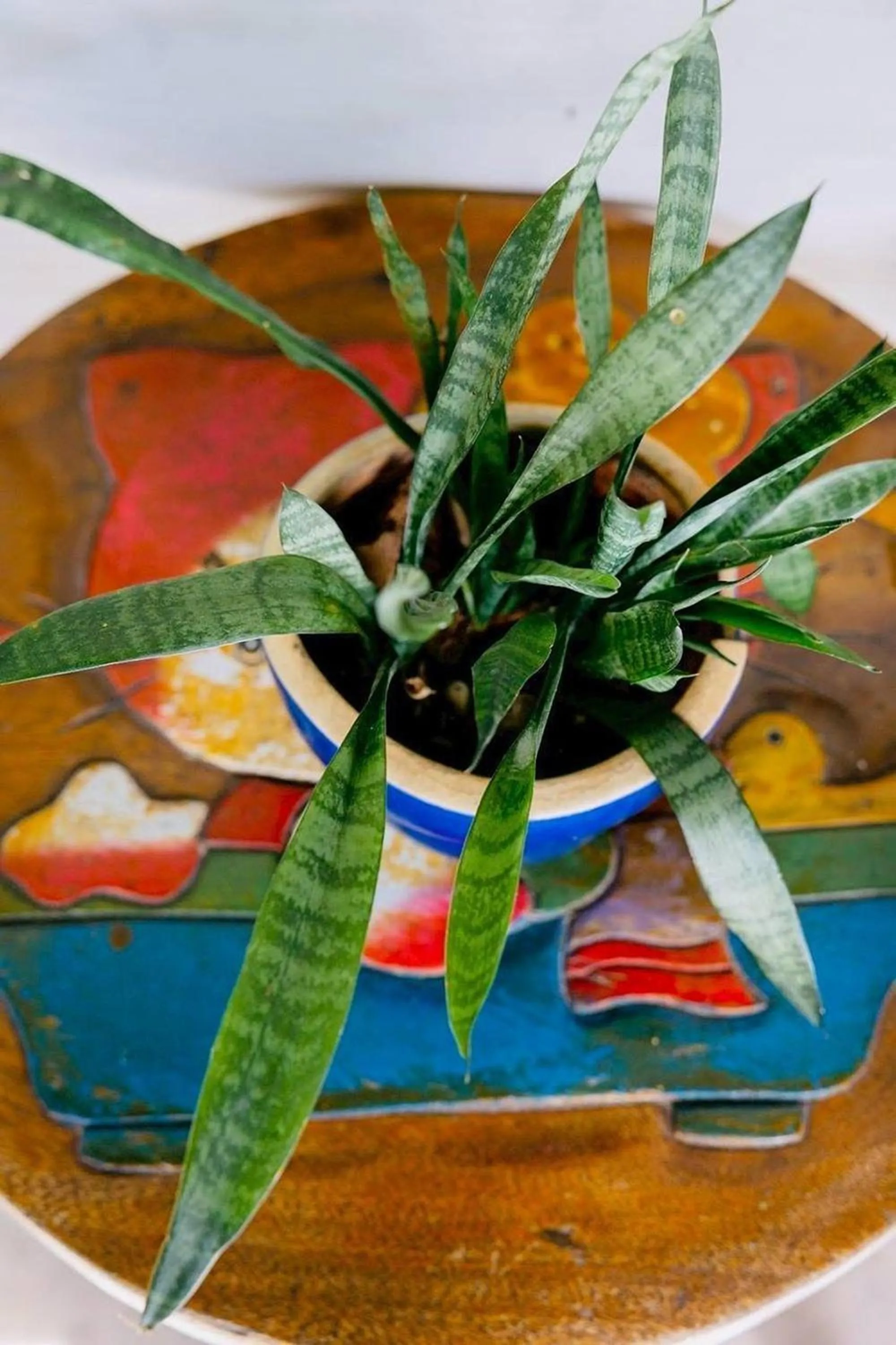 Decorative detail in Baan Nai Bang