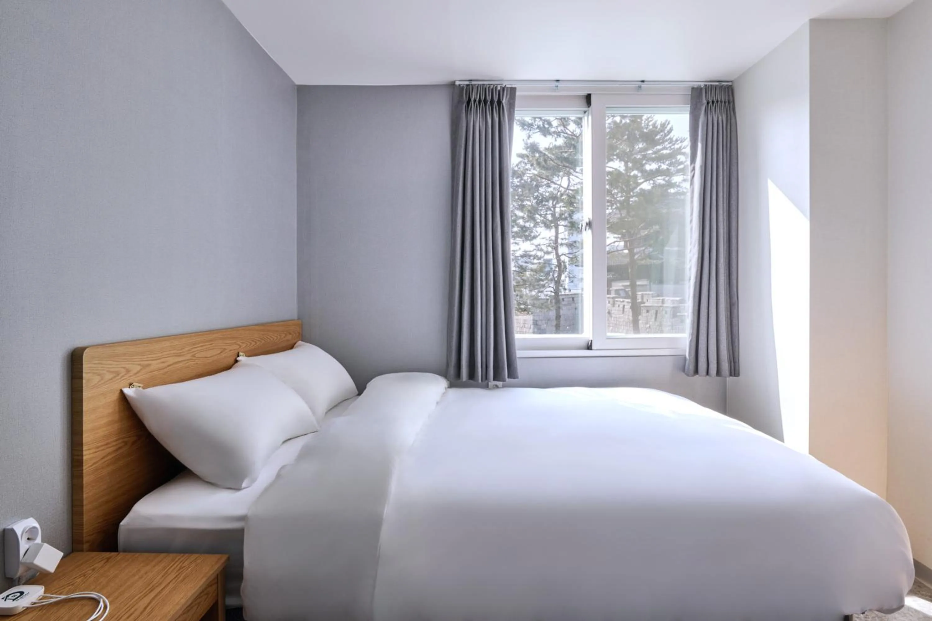 Bed in D Stay Hostel Dongdaemun