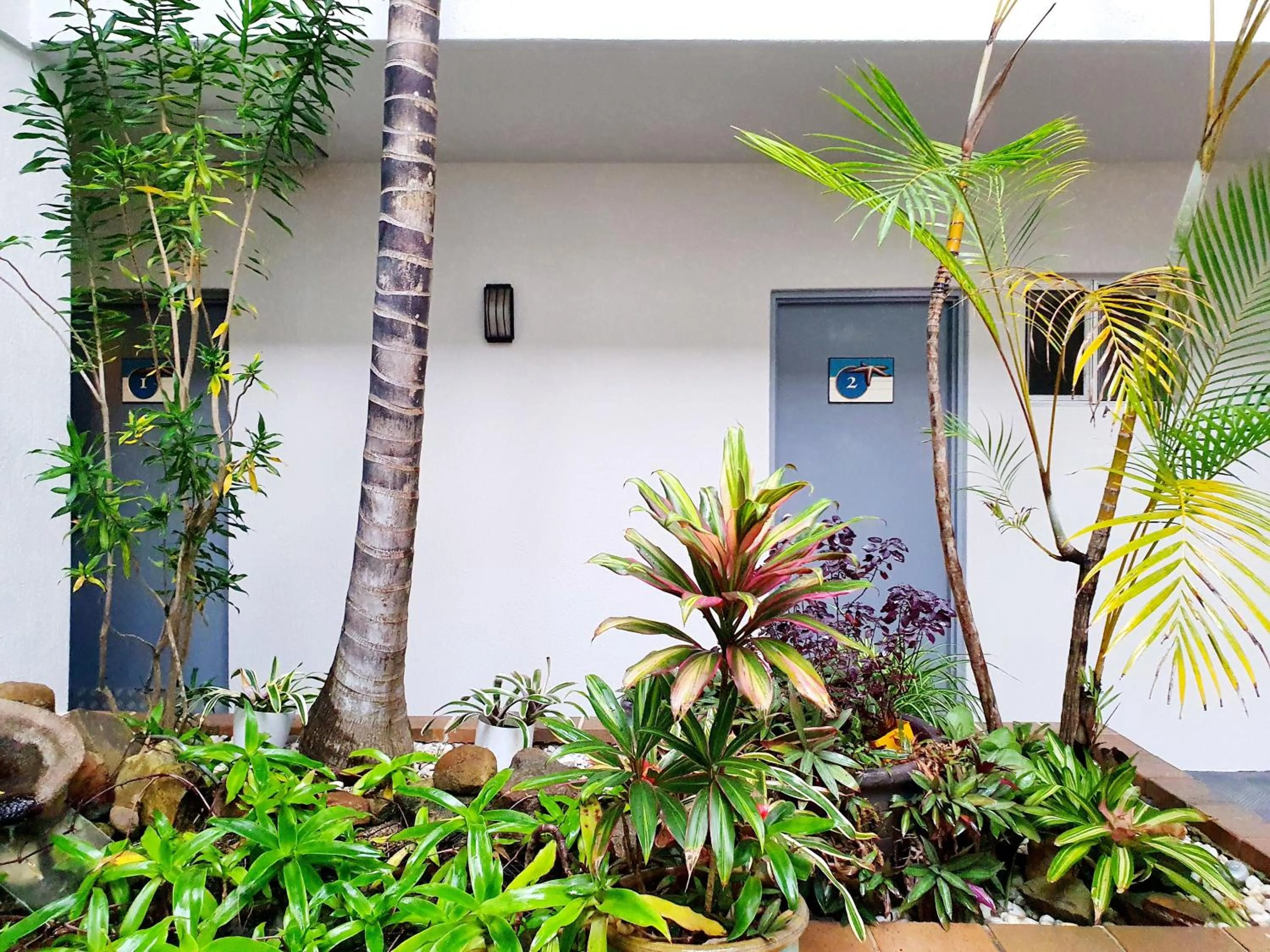 Inner courtyard view in Oceanside Hawks Nest
