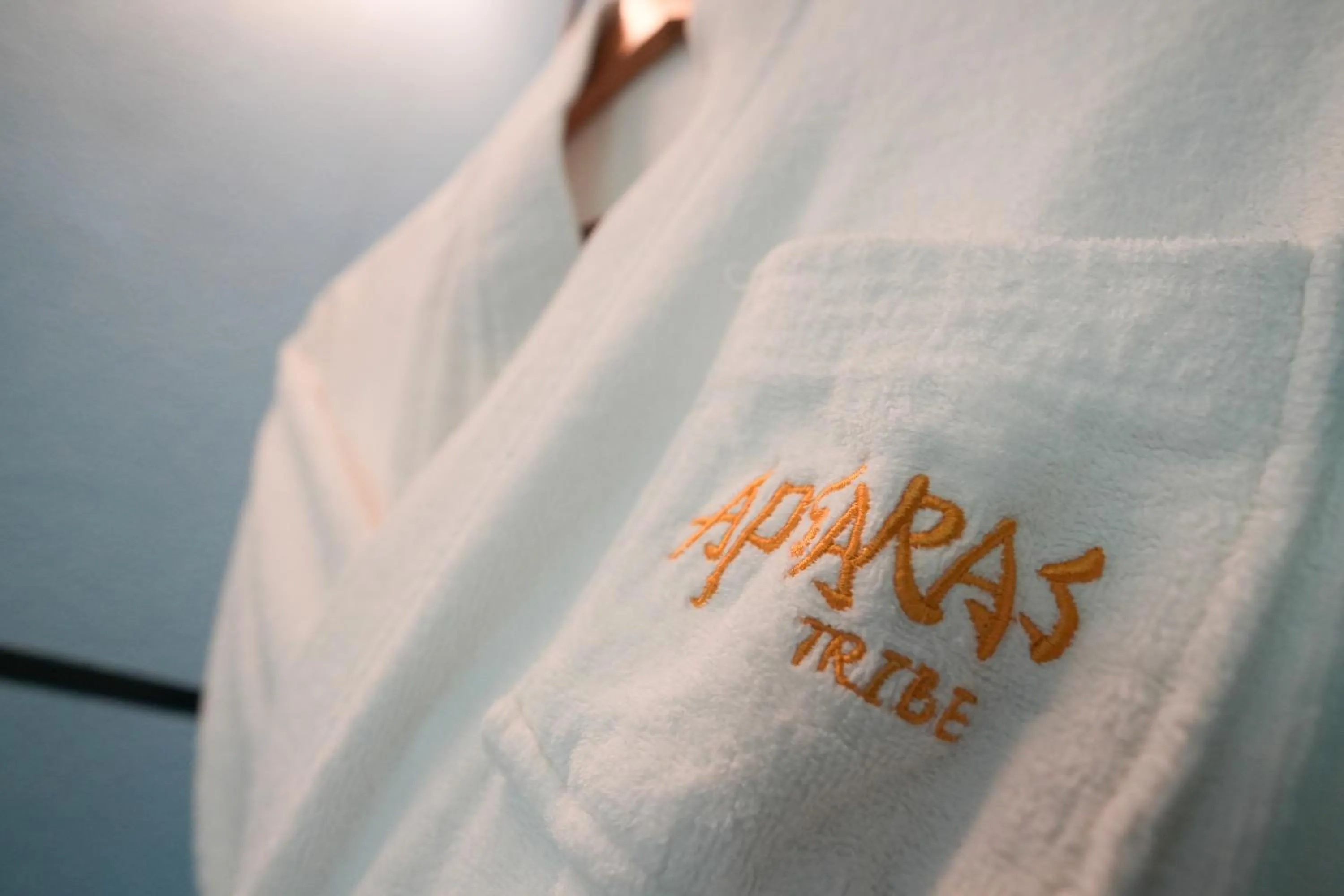 Property logo or sign in Apsaras Tribe Siargao