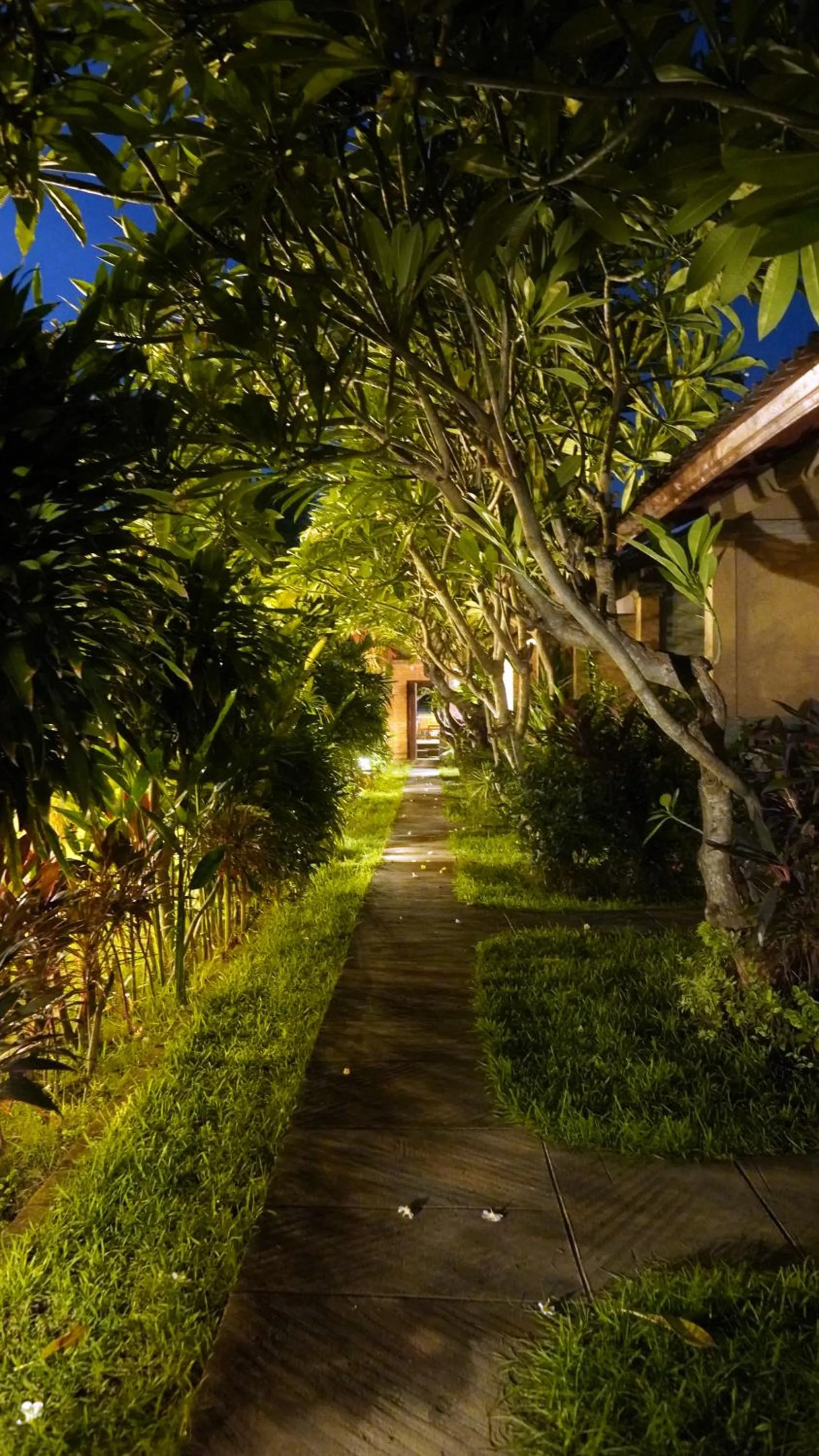 Natural landscape in Oma In Pemuteran Bali