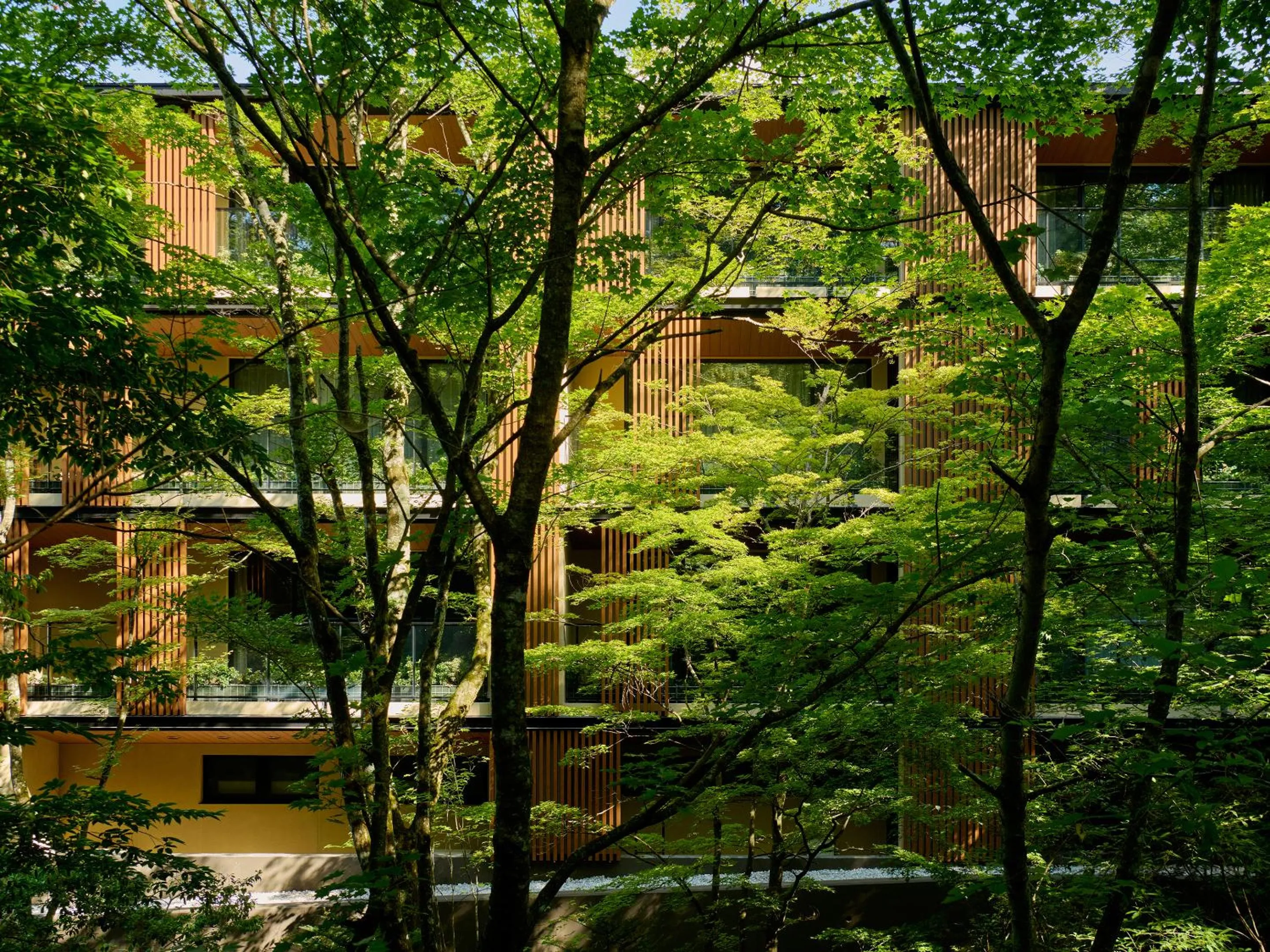 Natural landscape in Glamday Style Hotel & Resort Kyu-Karuizawa