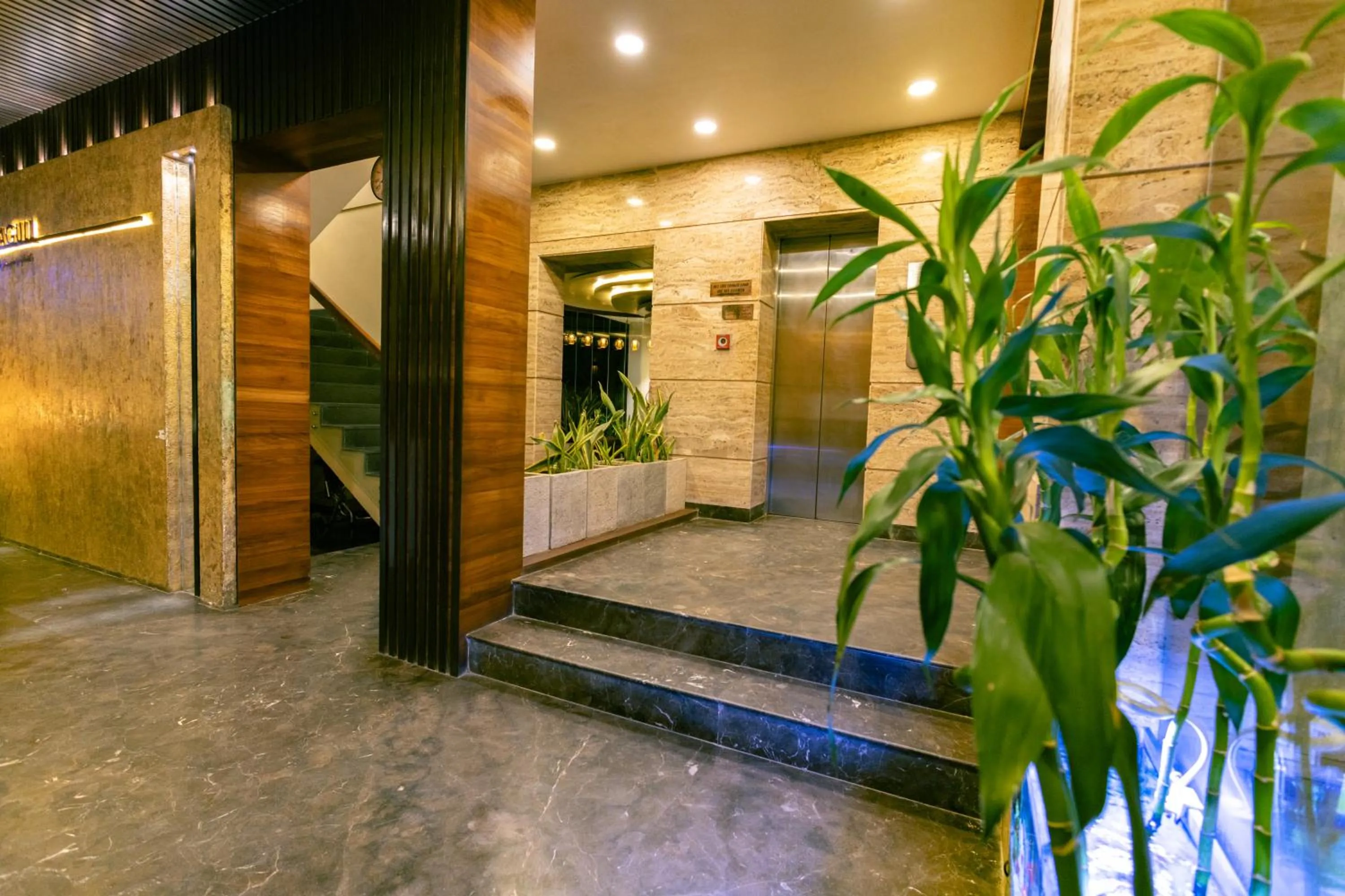 elevator in Hotel Seagull