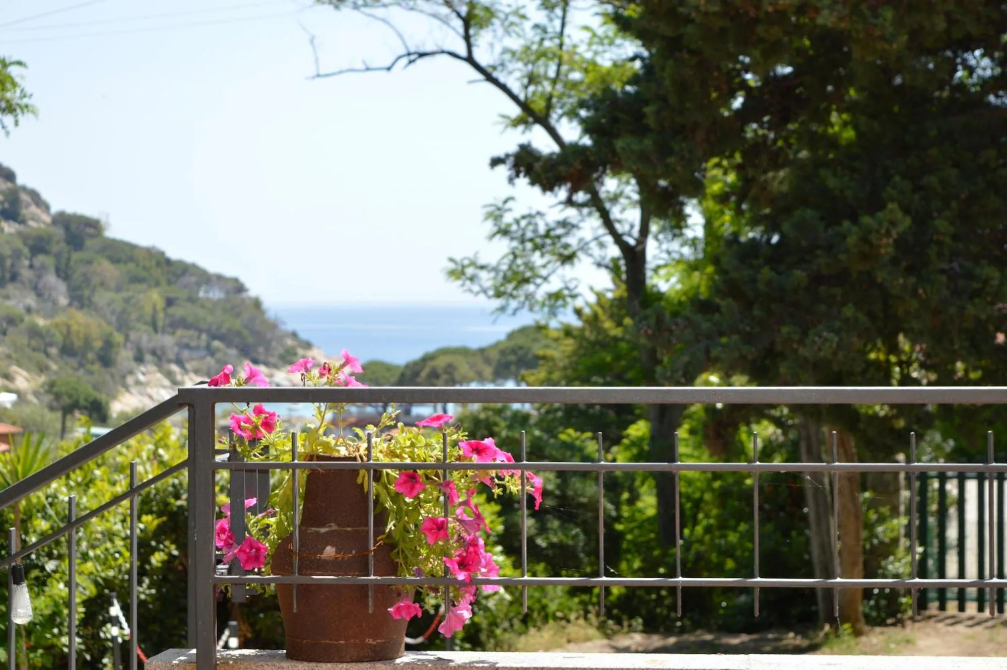 View (from property/room) in Hotel Anna