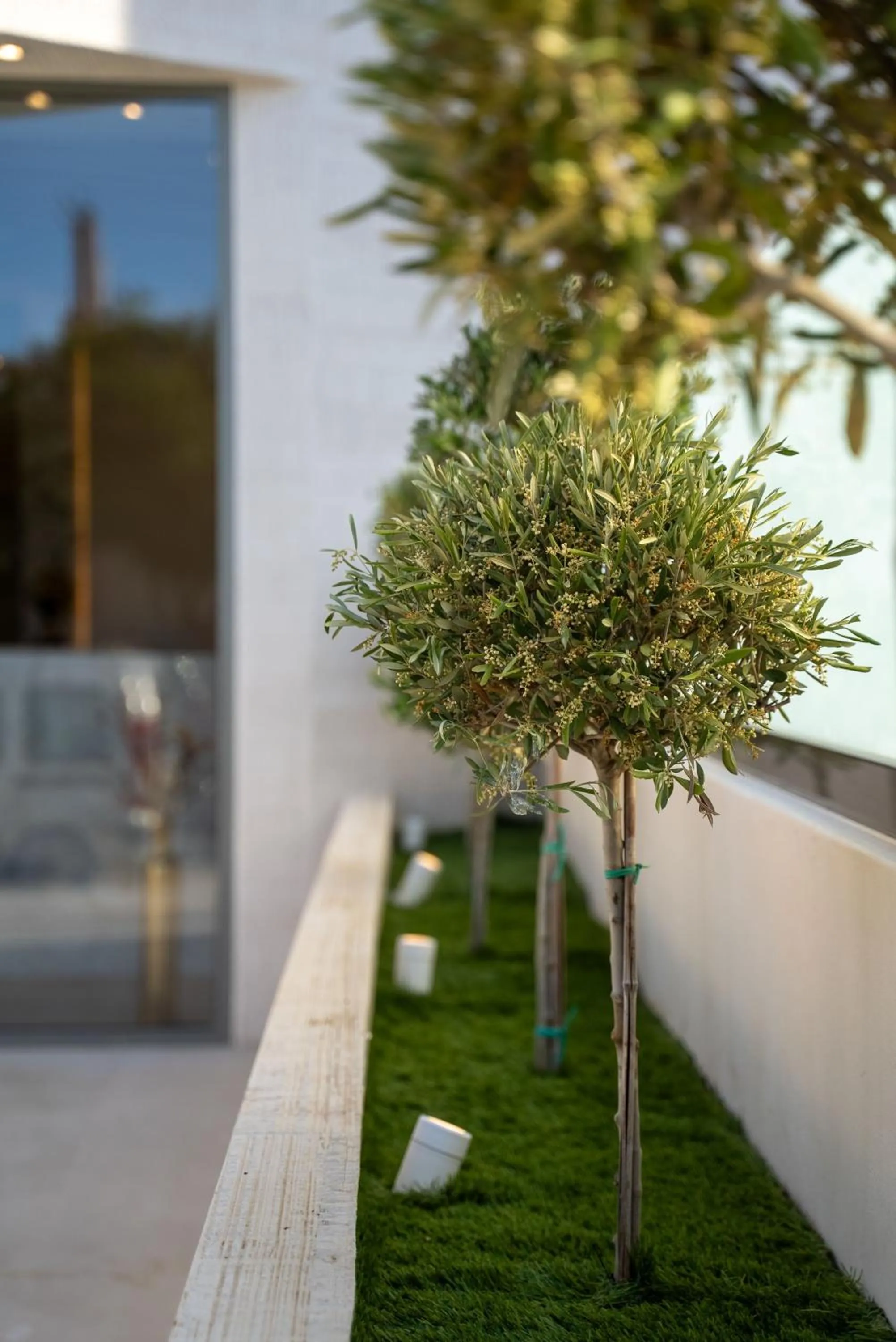 Day in Selected Suites