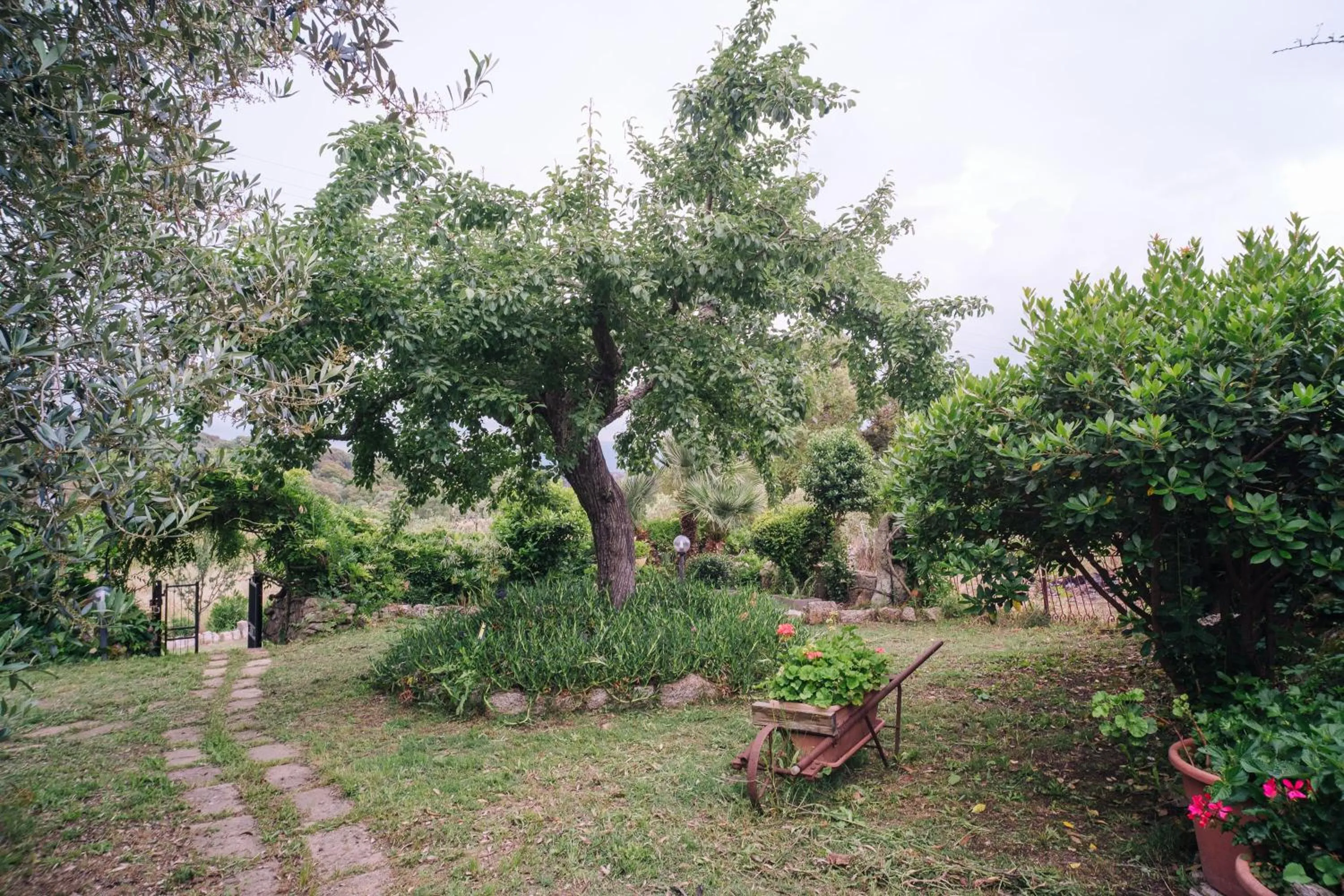 Balcony/Terrace in B&B San Michele
