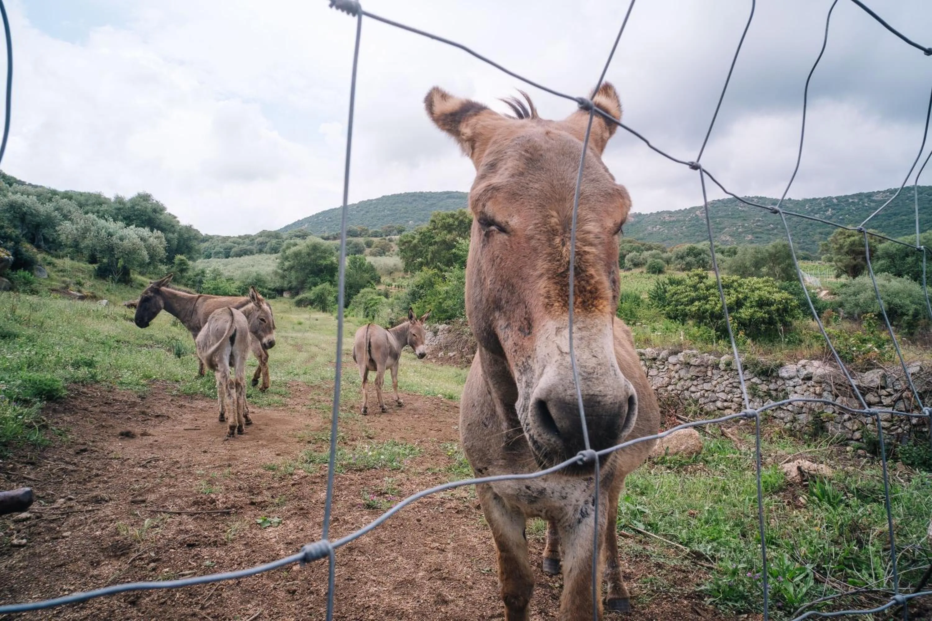 Property building in B&B San Michele