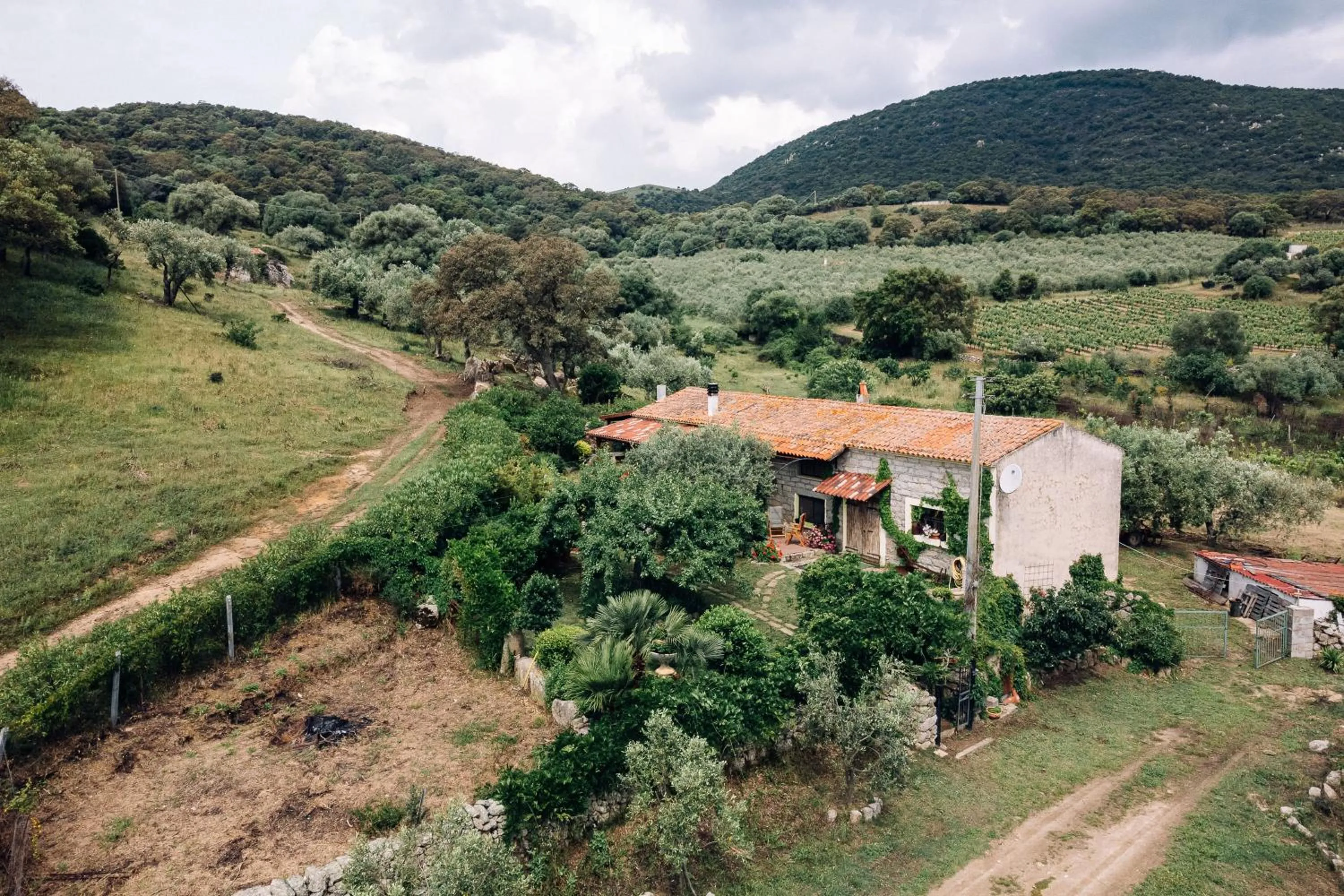 Balcony/Terrace in B&B San Michele