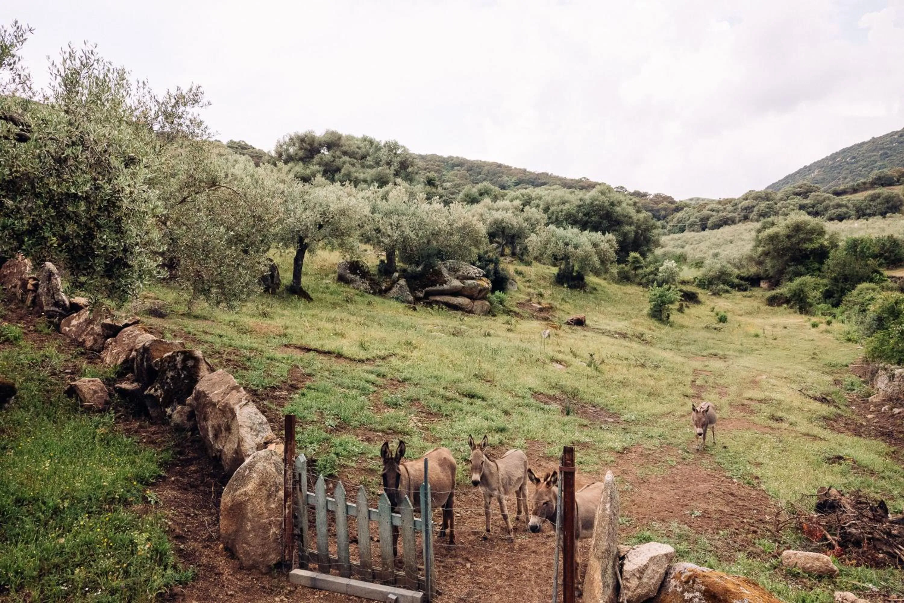 Balcony/Terrace in B&B San Michele