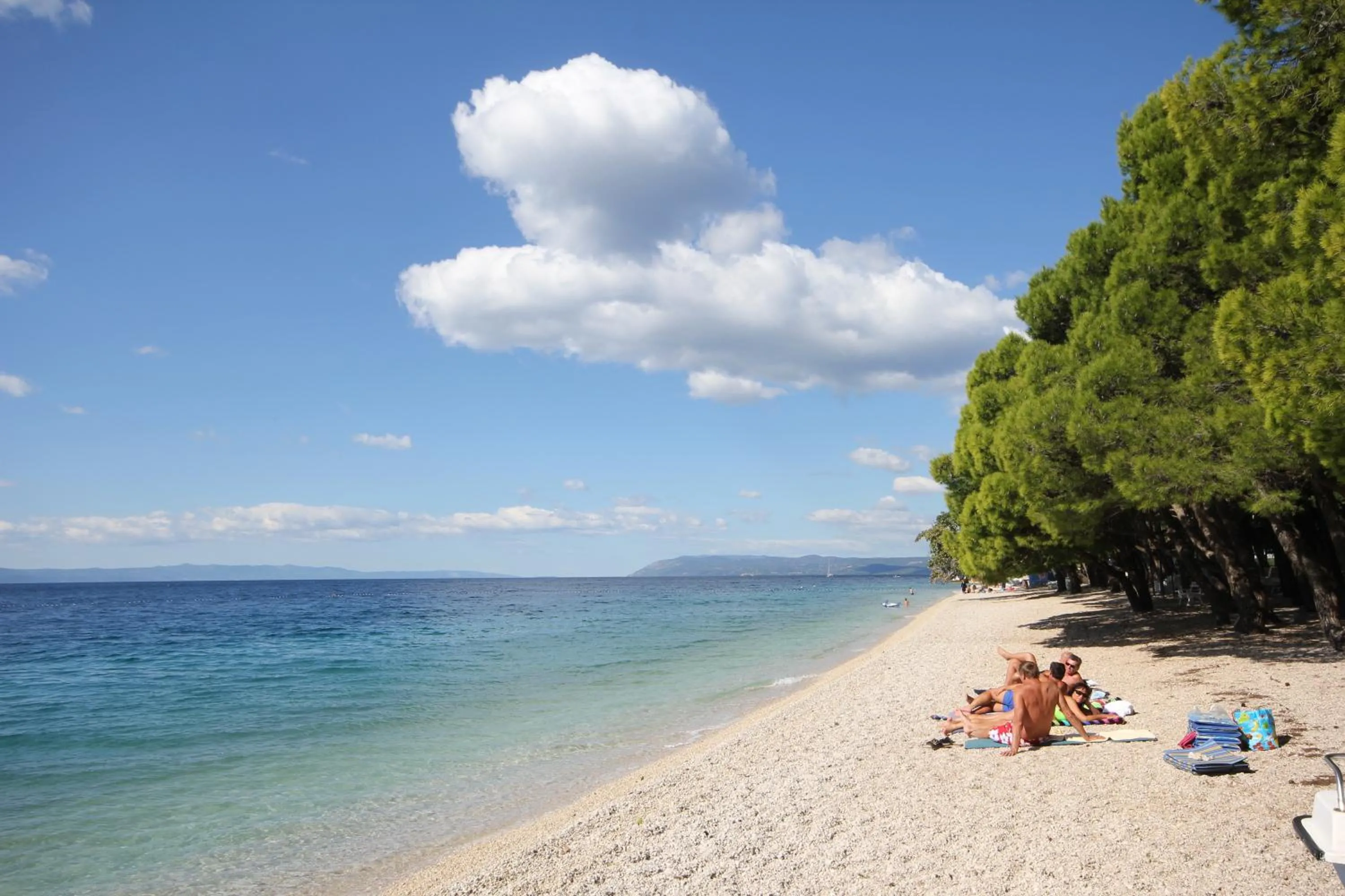 Natural landscape in Apartments Adriatika