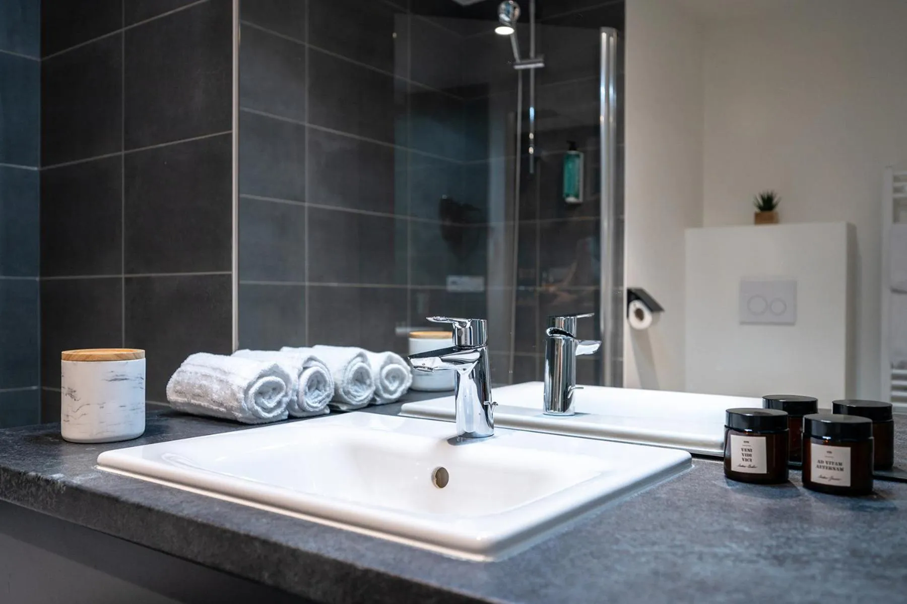 Nemea Appart Hotel Coeur Europe Strasbourg Illkirch