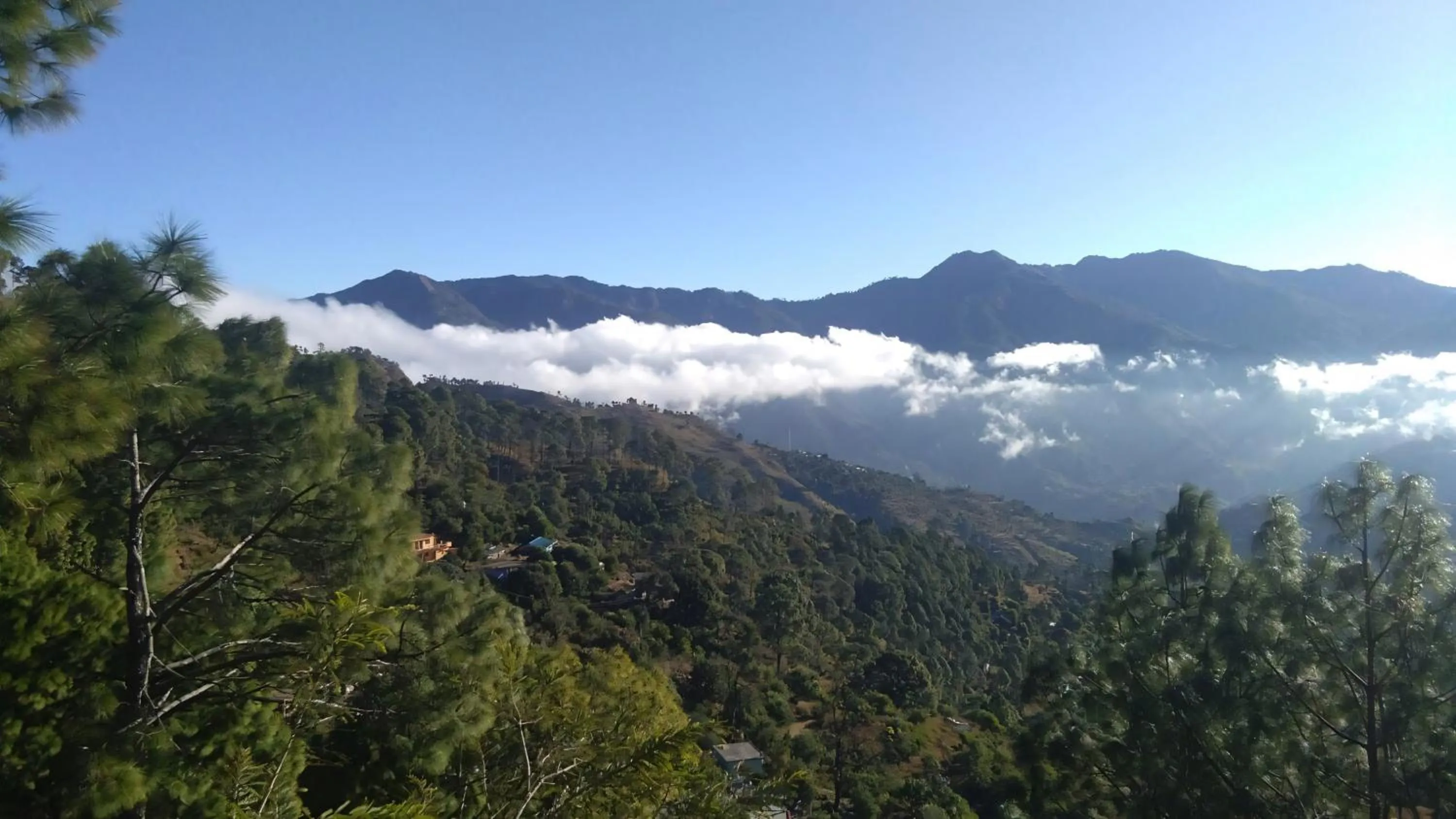 Nearby landmark in Green Palms Rubystone Exotic