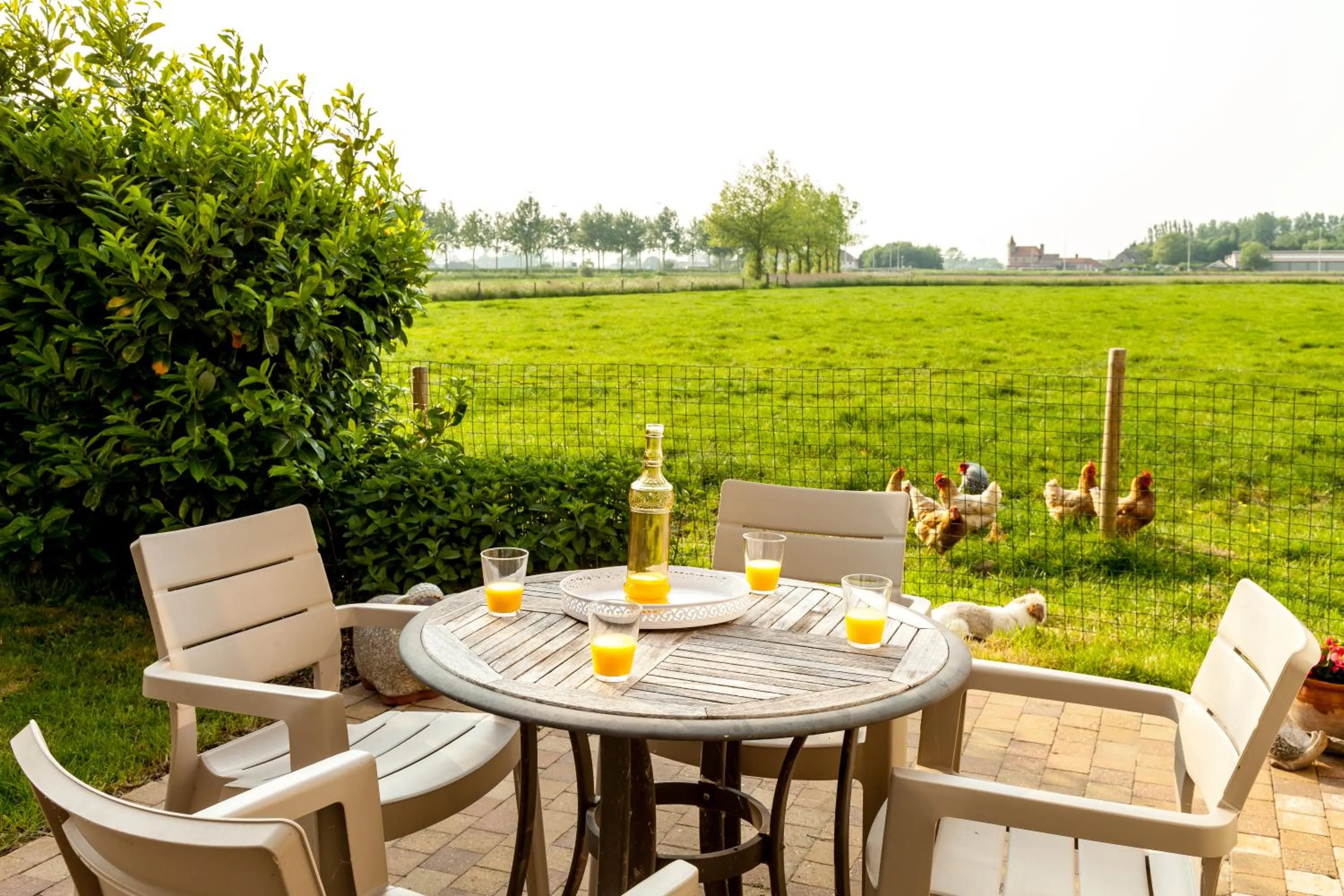 Natural landscape in B&B Het Polderhof