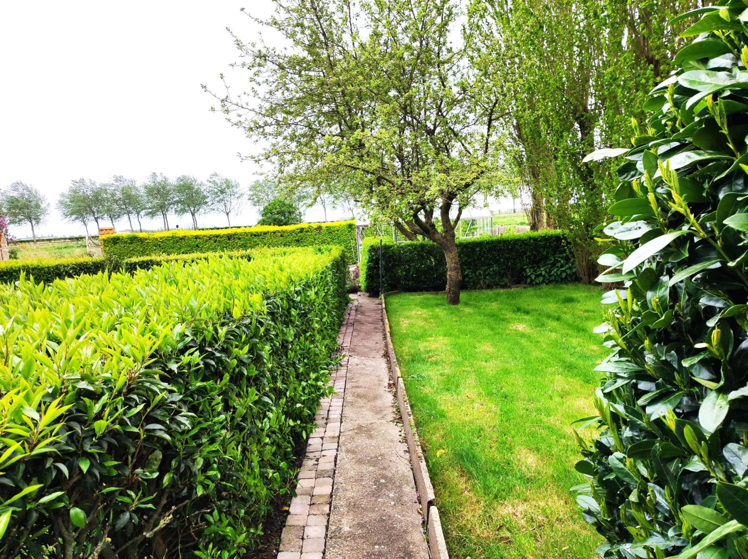 Garden in B&B Het Polderhof