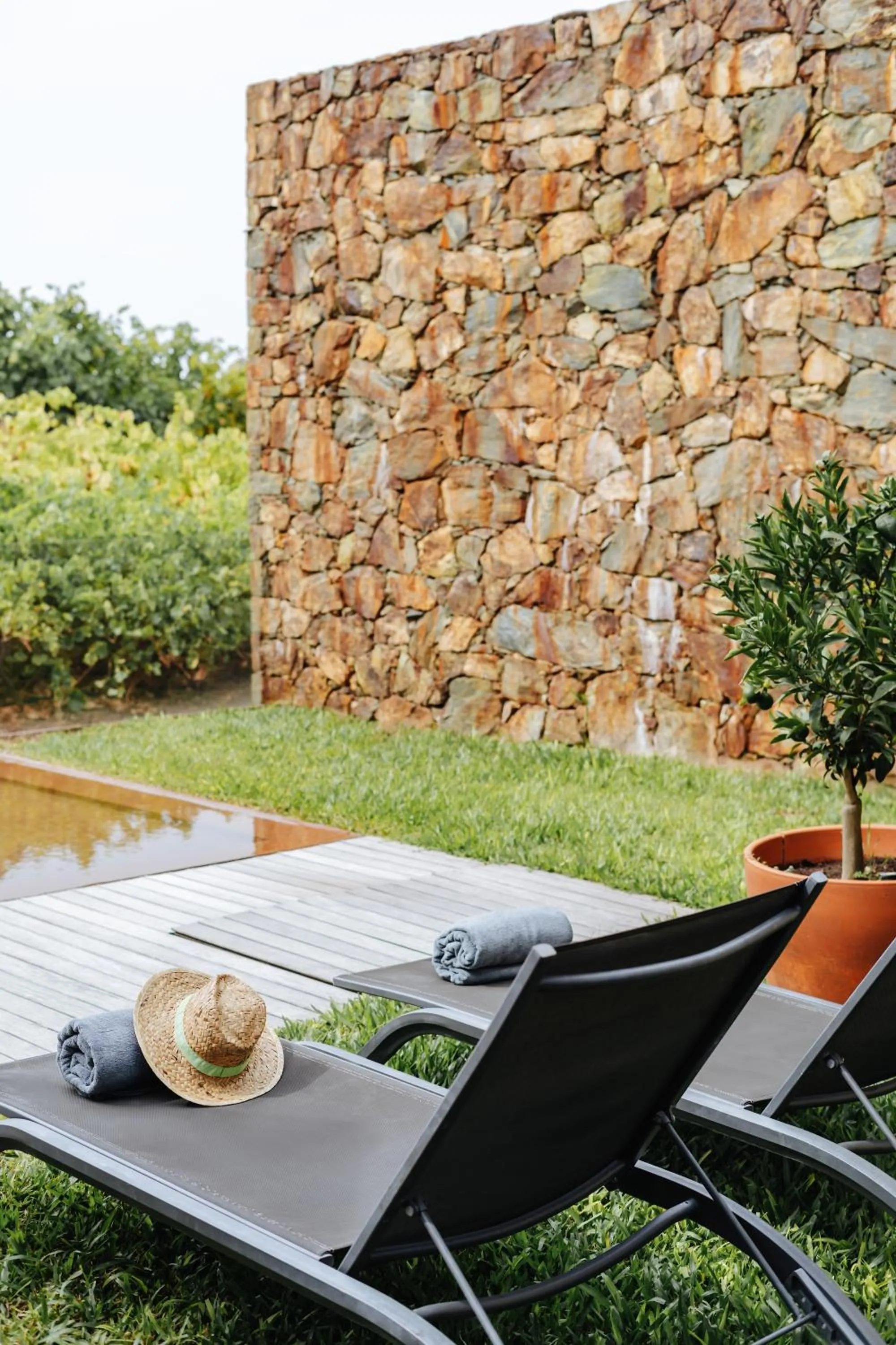 Garden view in Monverde - Wine Experience Hotel - by Unlock Hotels