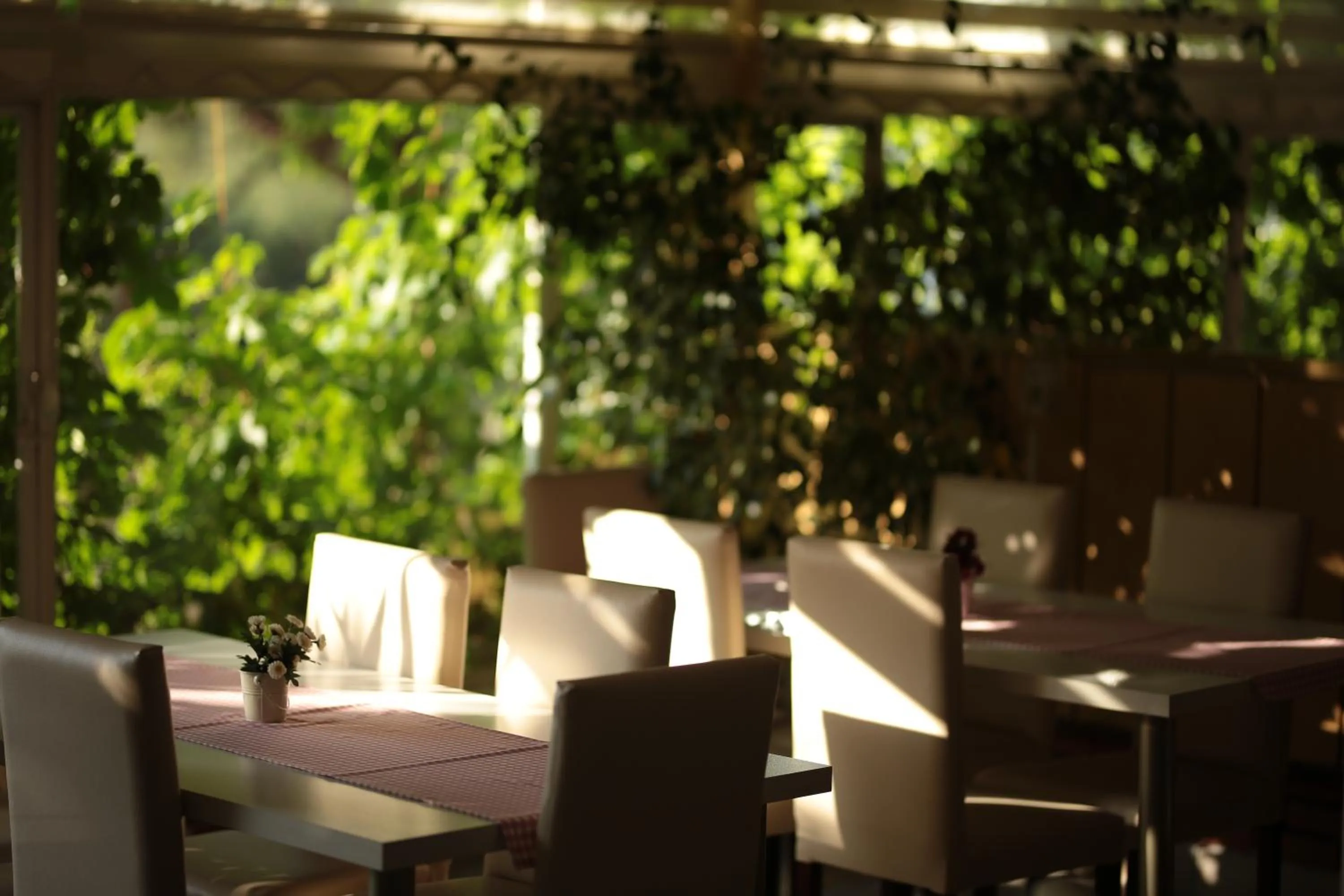 Restaurant/places to eat in Tunc Hotel