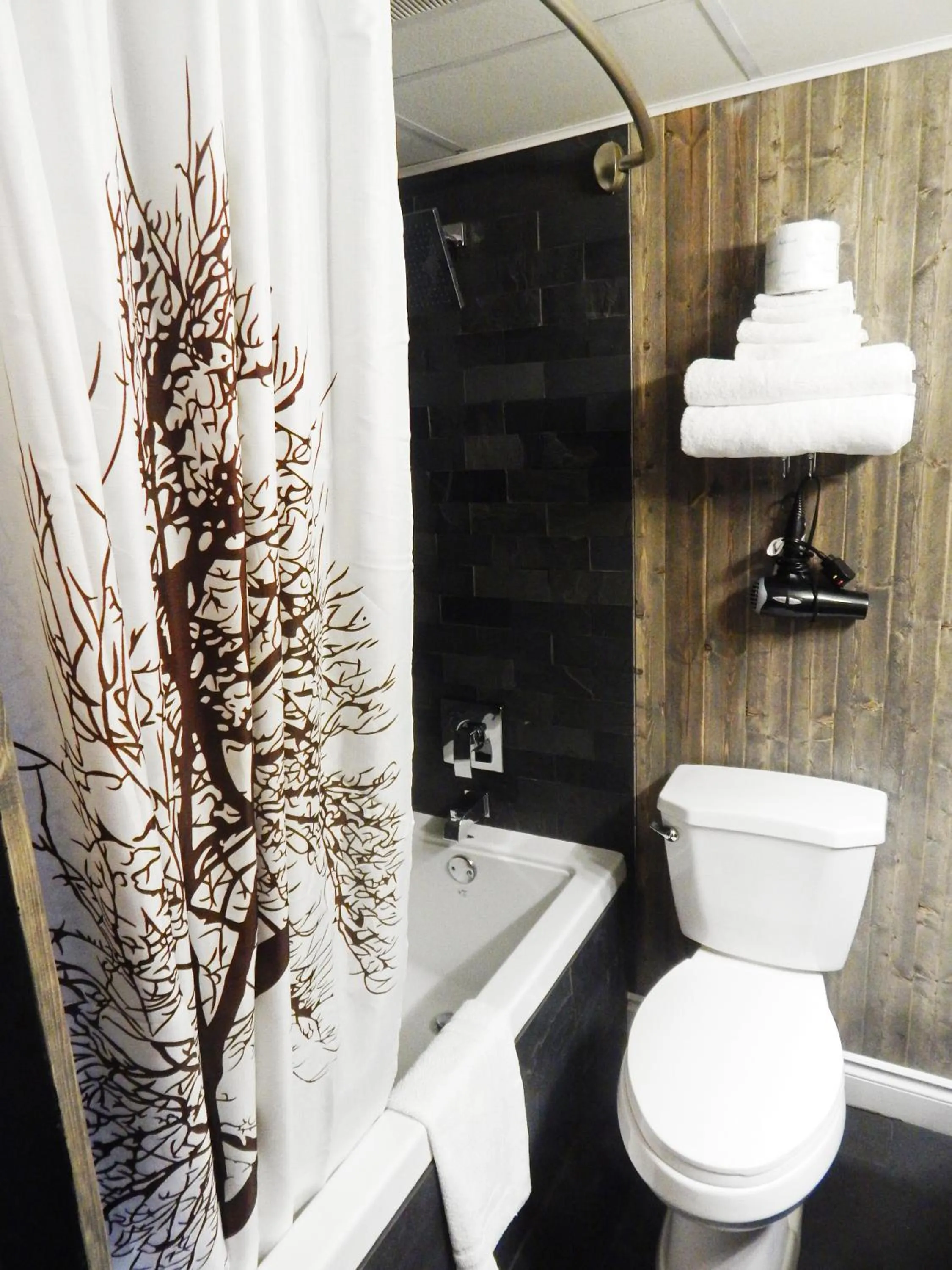 Shower in Copper River Inn