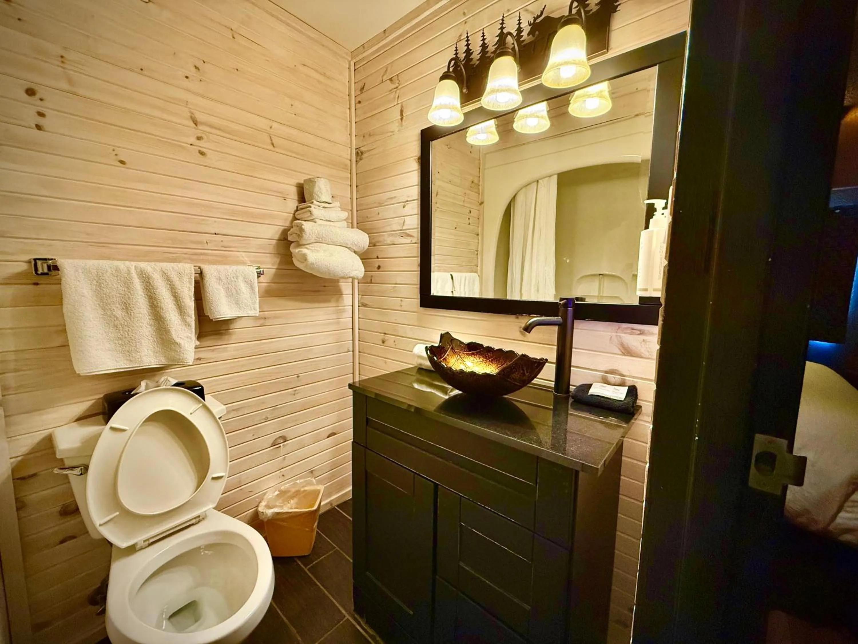 Toilet in Quality Inn Fort Frances