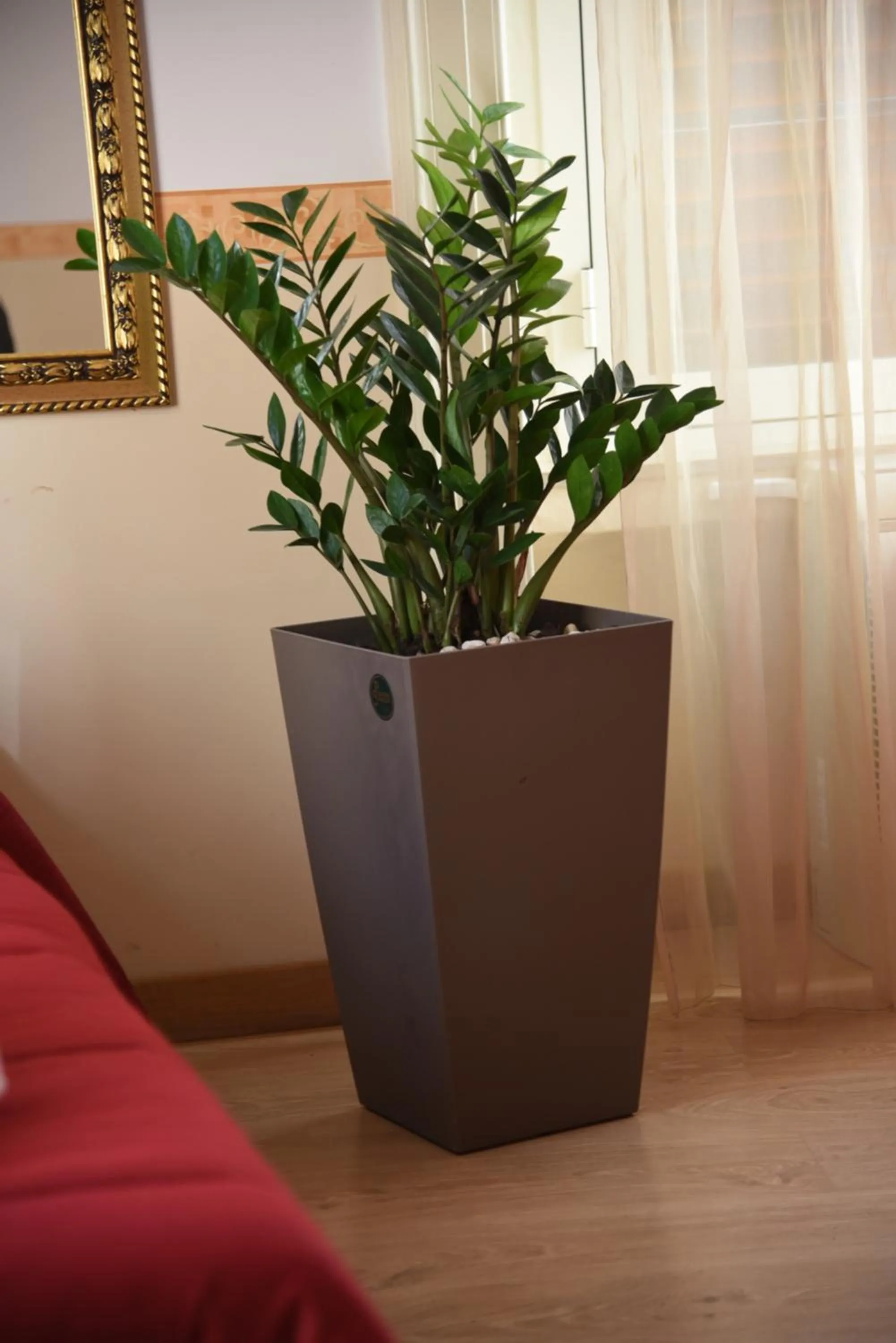 Coffee/tea facilities in B&B The Queens